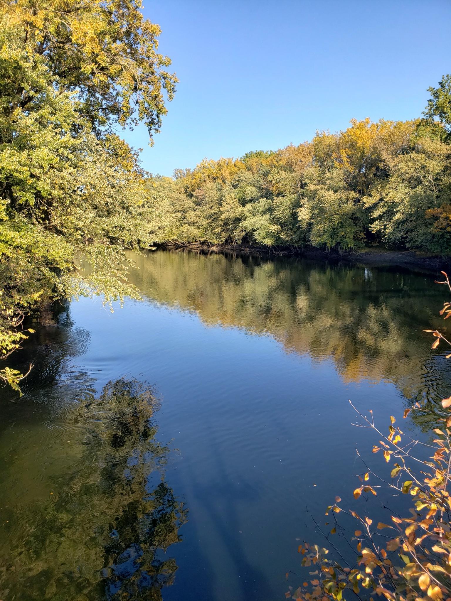 A calm river reflecting autumn trees under a bright blue sky.