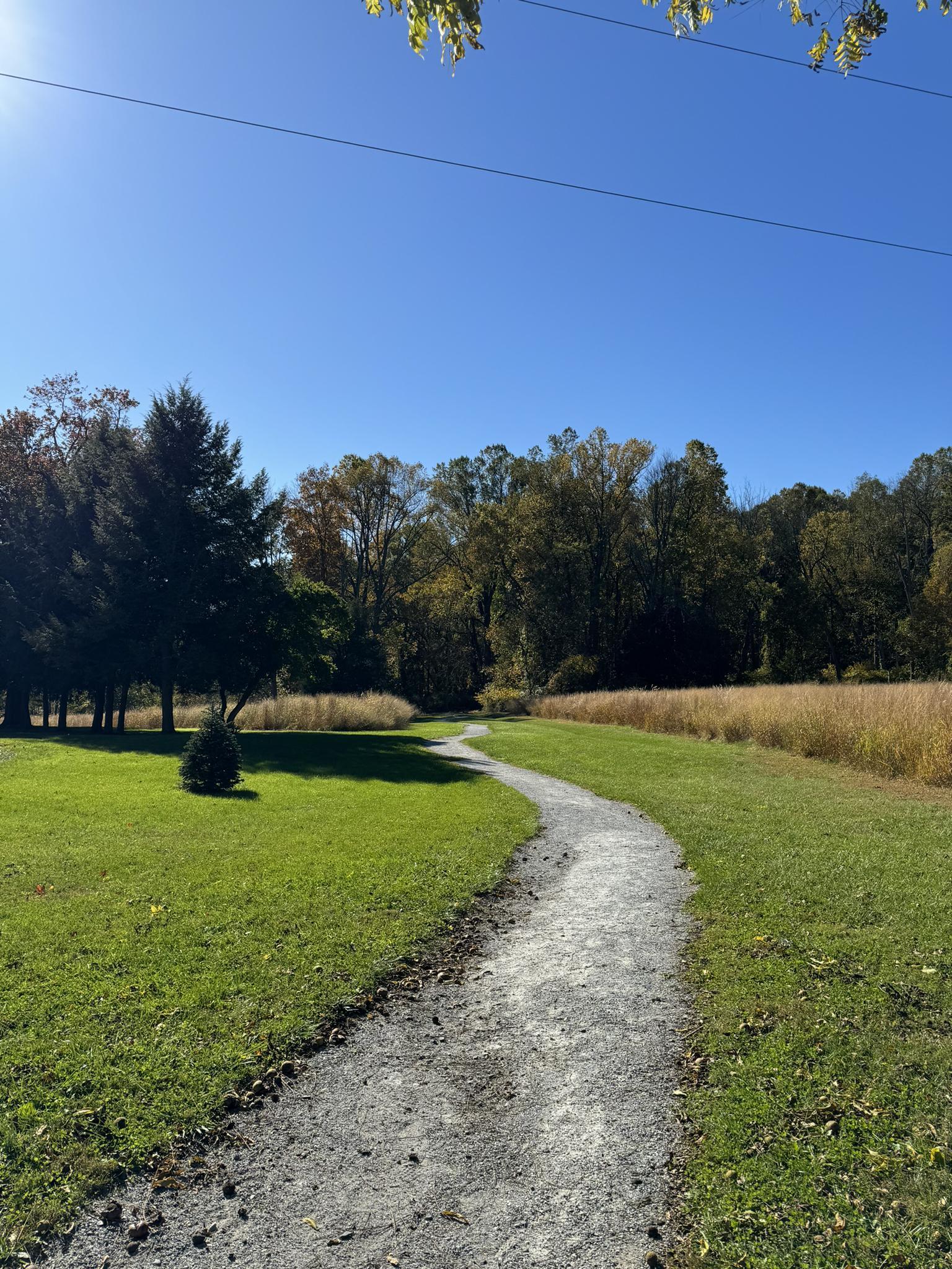 Gravel path winding through green grass and trees under a sunny blue sky.