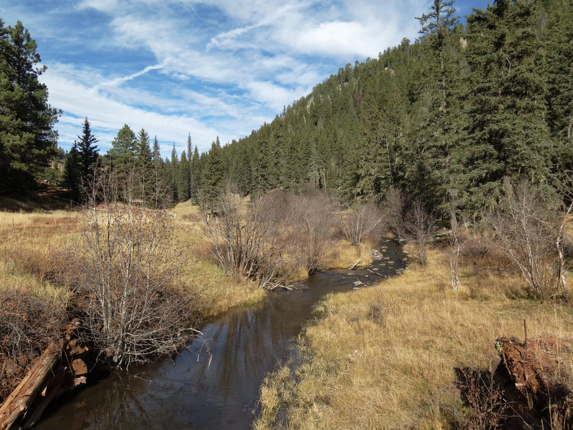 Winding stream through a golden meadow with a forested hillside under blue sky.