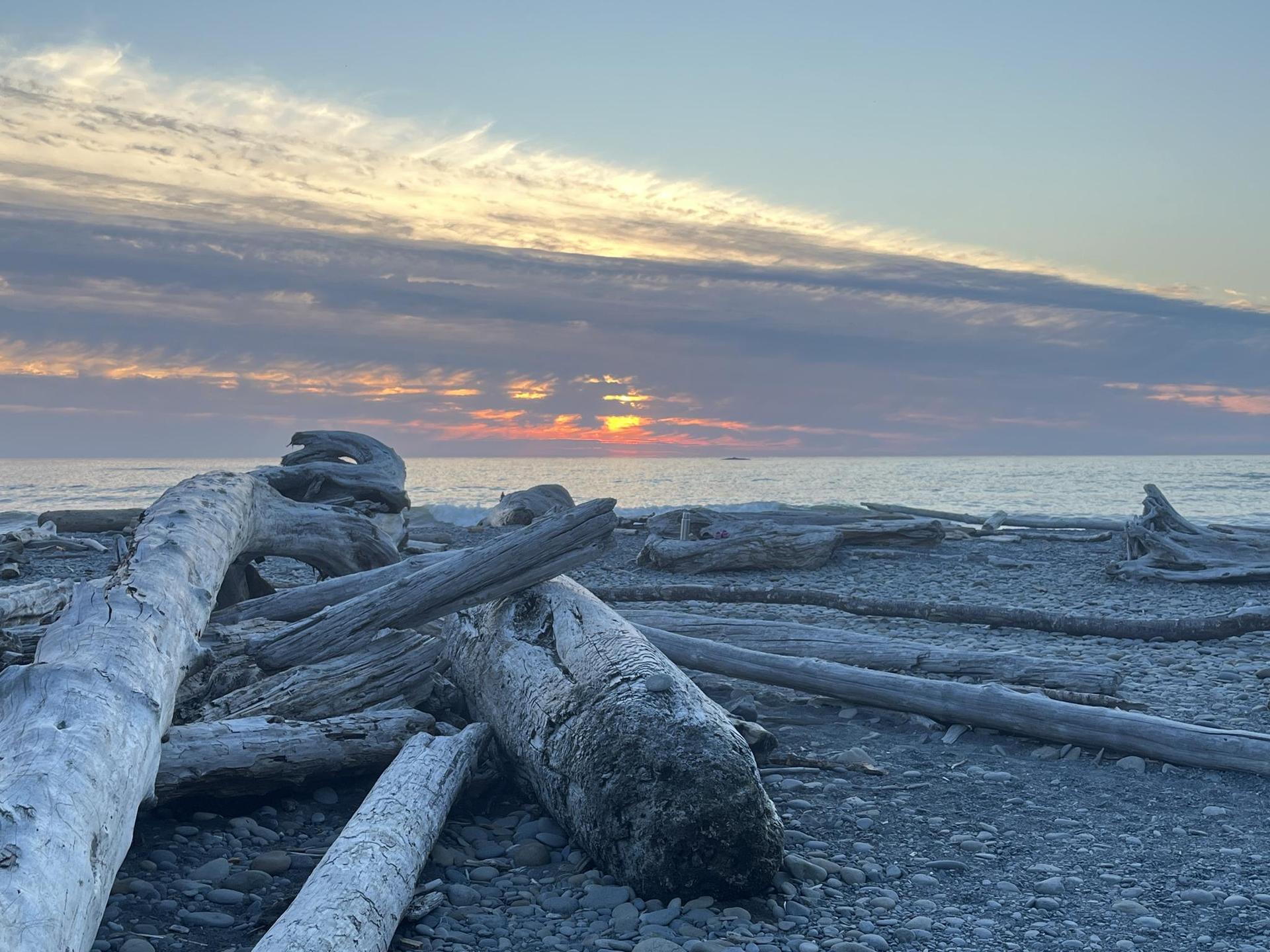 Sunset over ocean with scattered clouds and large driftwood on a pebble beach.