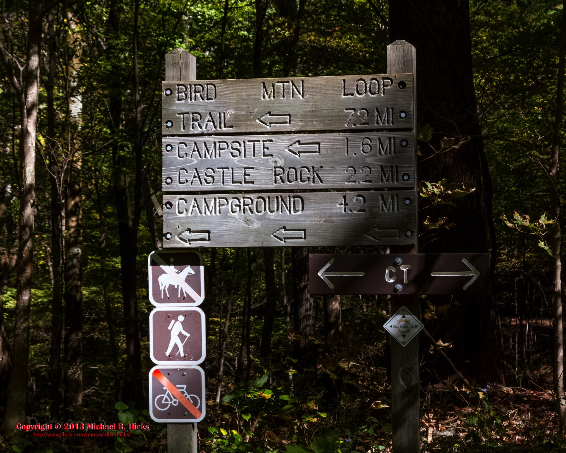 Wooden trail sign in a sun-dappled forest, showing directions and activity symbols.
