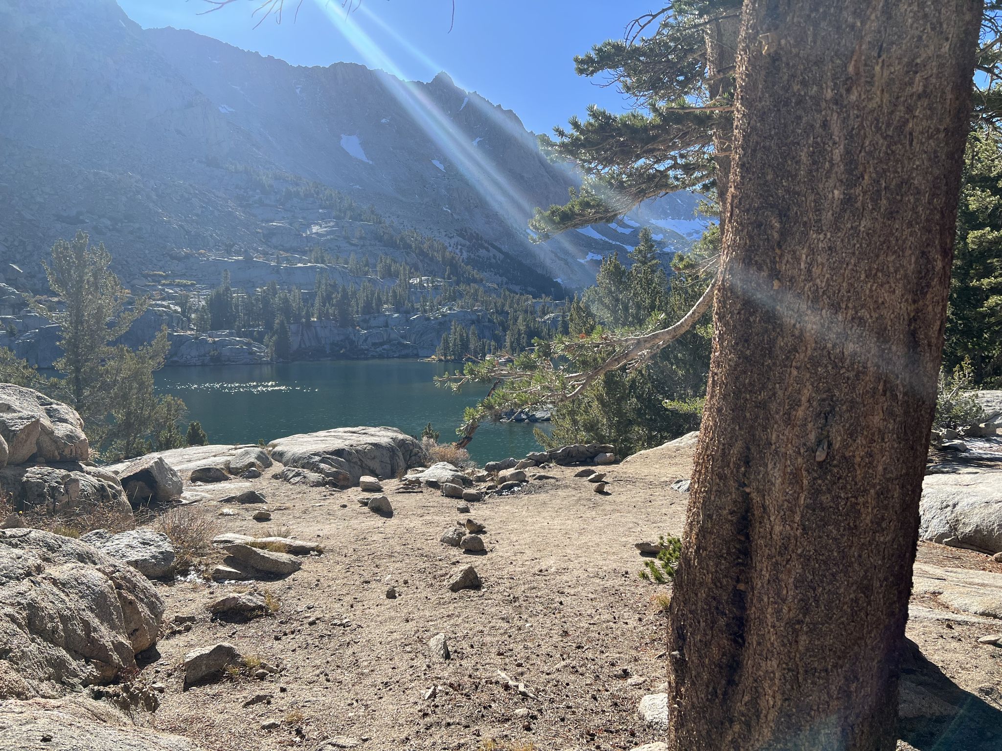 Sunlit lake shore with a large tree trunk and mountains in the background. - Sabrina Basin Trail
