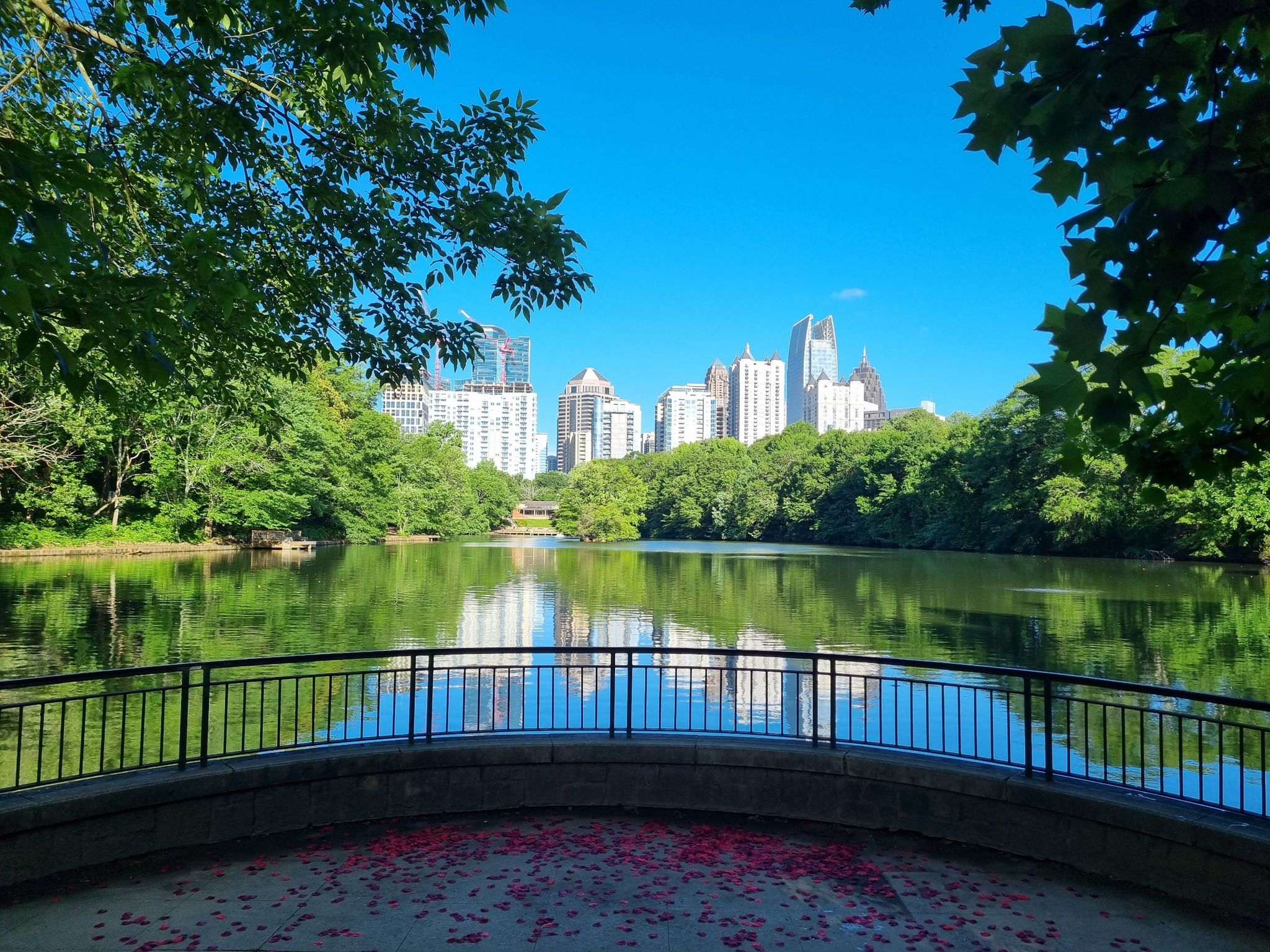 Bright sunny day over a lake with a city skyline in the distance. - Piedmont Park loop