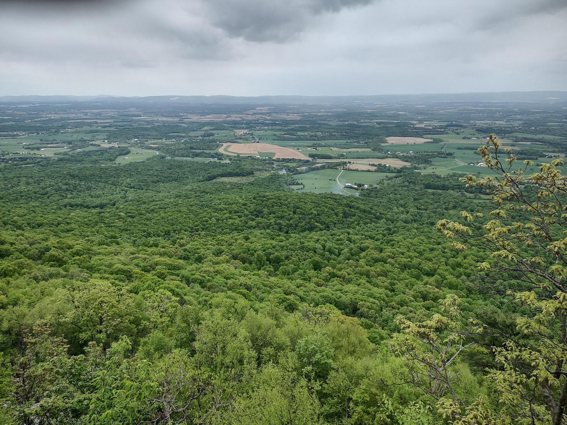 An expansive view of a green forested valley and fields under a cloudy sky.