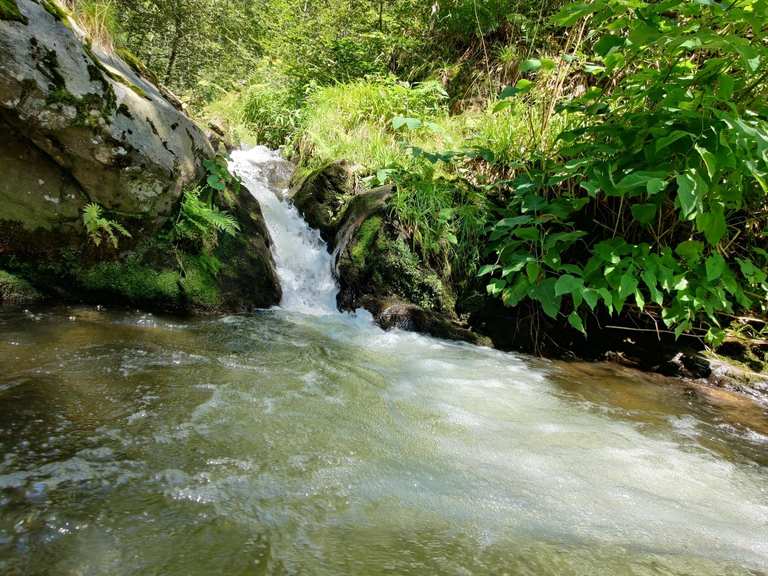 Wilde Rench Tal zwischen Herbstwasen und Weiherplatz: Wanderungen und ...