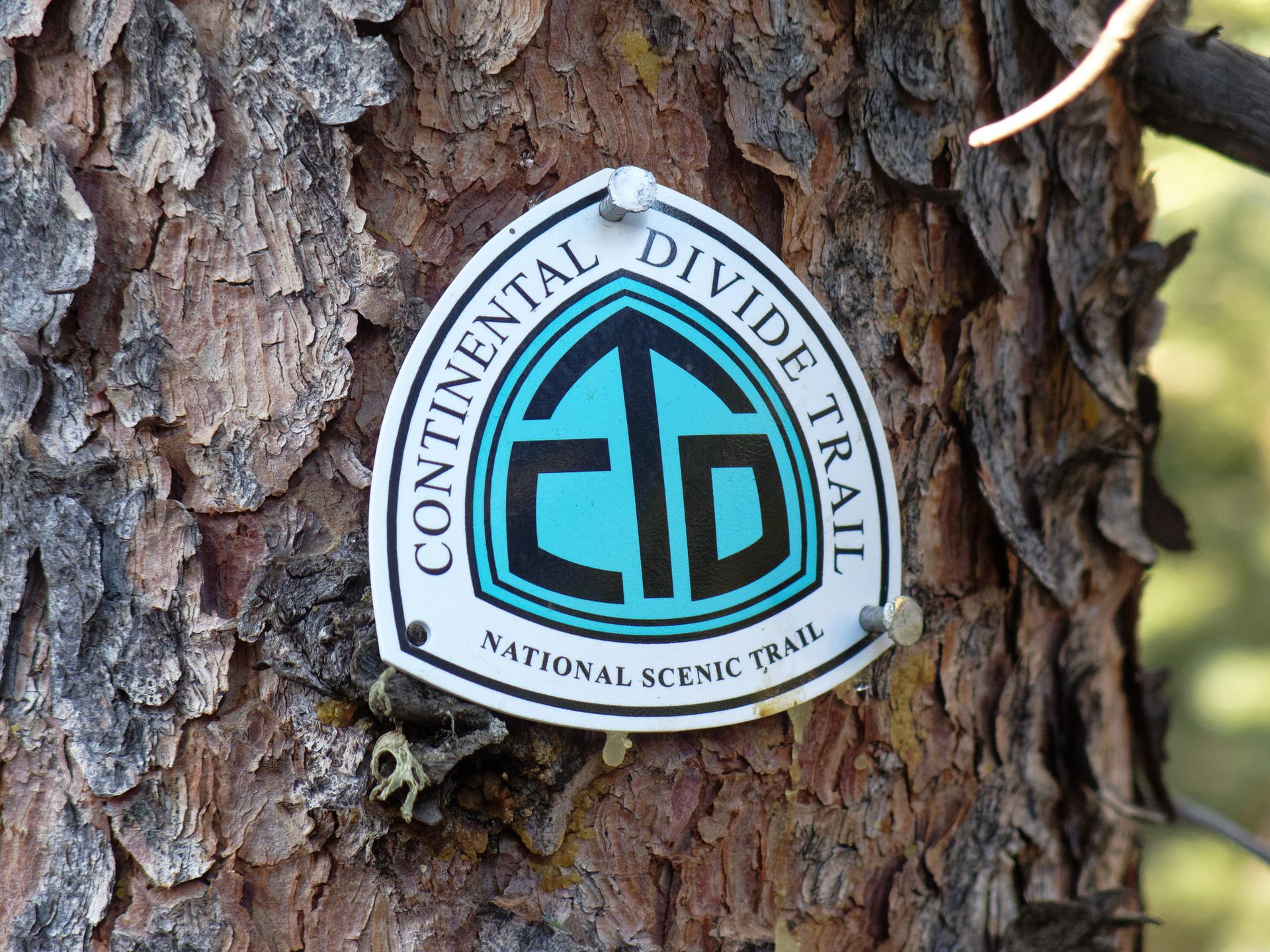 A white and blue trail marker sign is nailed to a tree trunk.