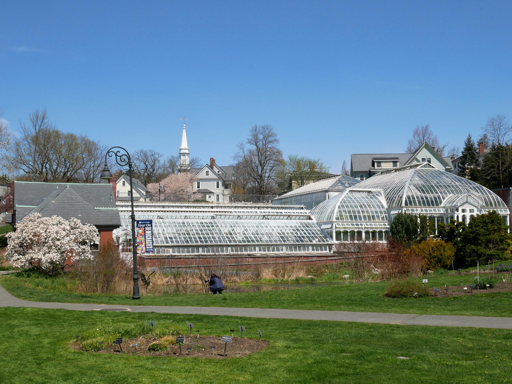 Sunny view of large glass greenhouses, a blooming tree, and a person kneeling.