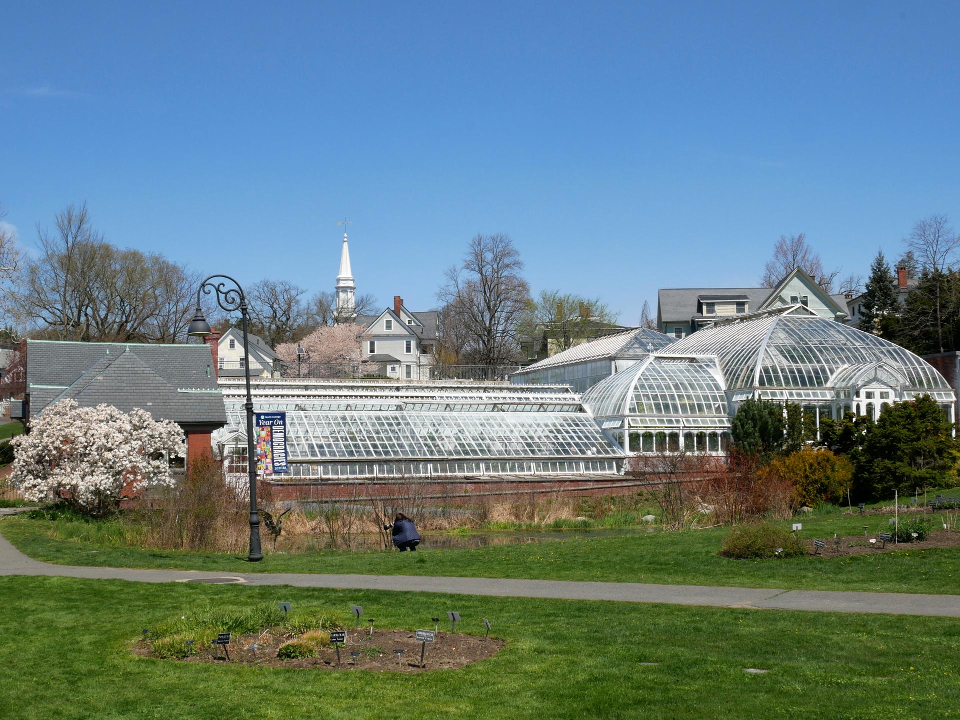 Sunny view of large glass greenhouses, a blooming tree, and a person kneeling.