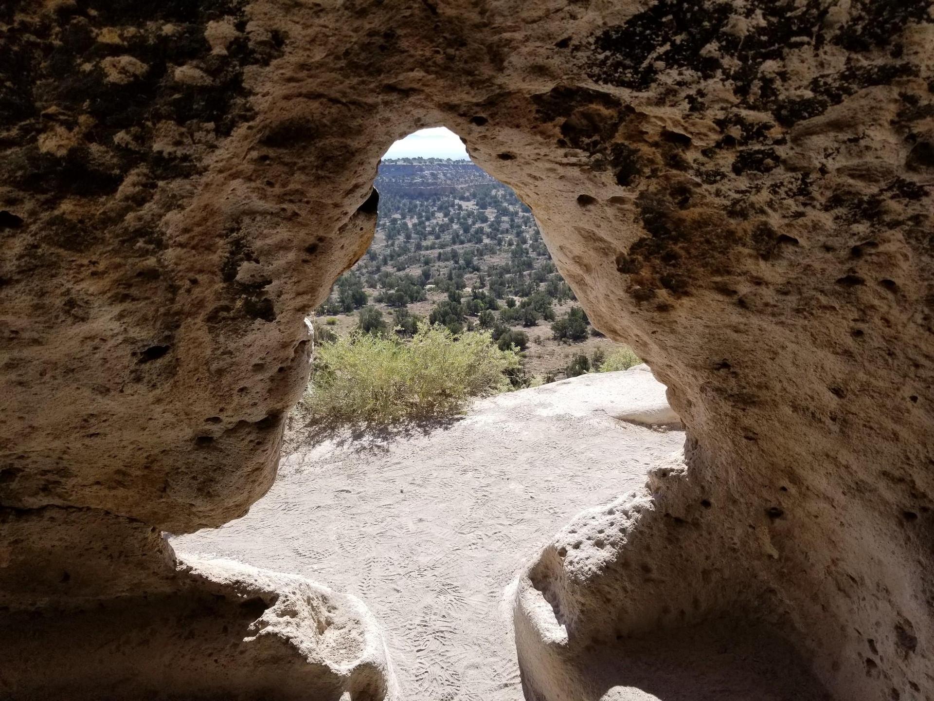 View of an arid landscape with scattered trees through a rock cave opening.