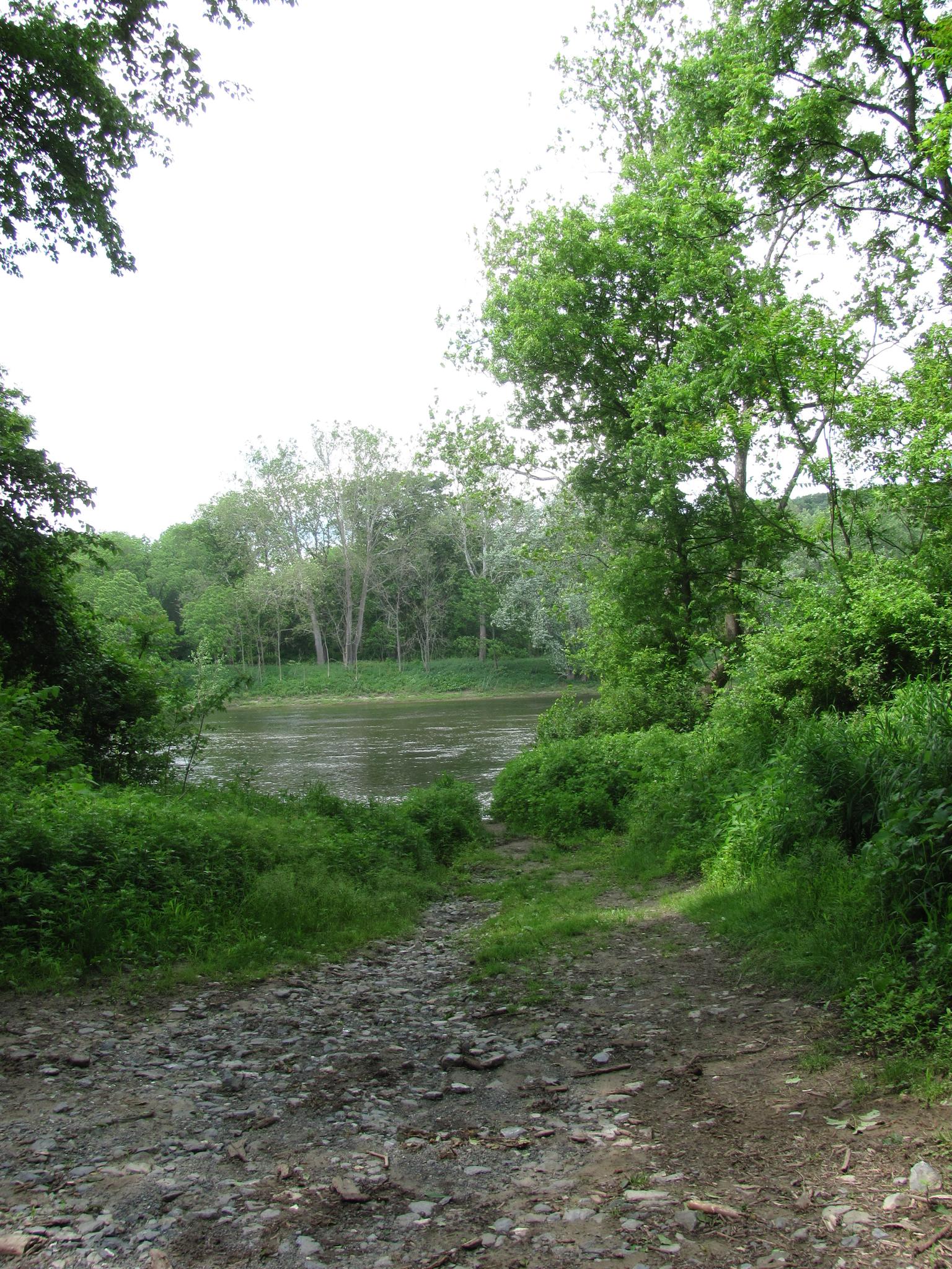 A rocky path leads down to a calm river surrounded by lush green trees.