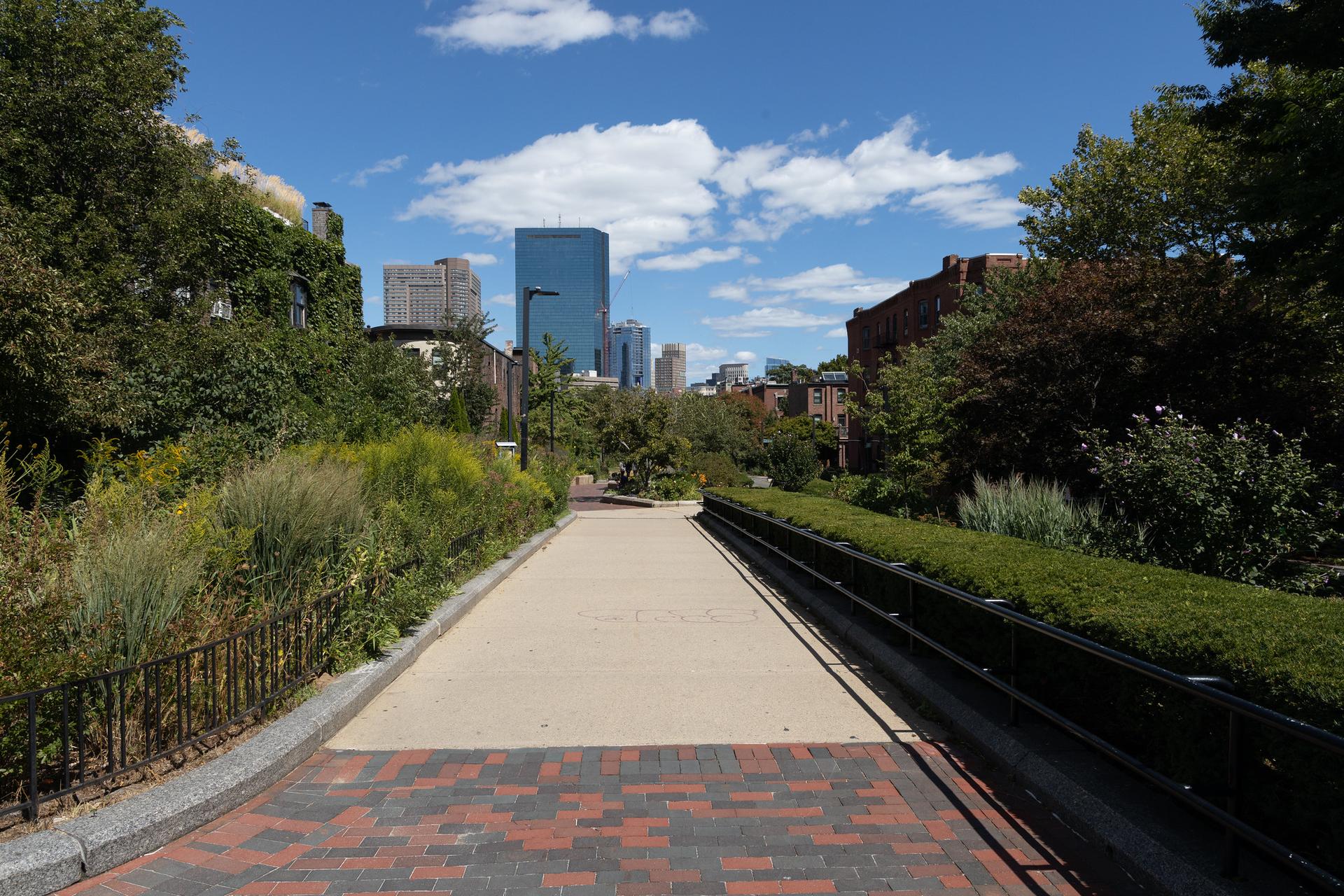 Paved walkway in an urban park with a distant city skyline under blue sky.