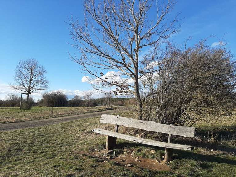 Blick auf die Heidelandschaft – Venusberg Runde von Aidlingen ...