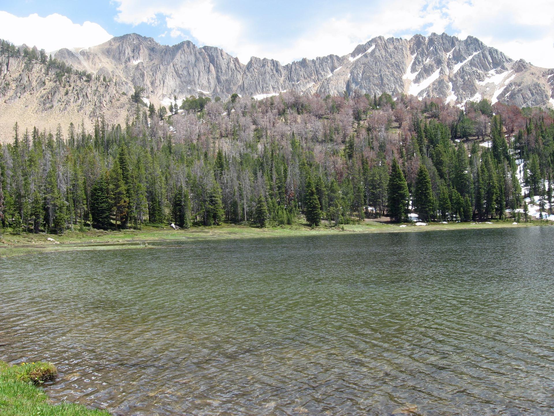 Clear mountain lake with forested shore and rugged, snow-capped peaks under clouds.