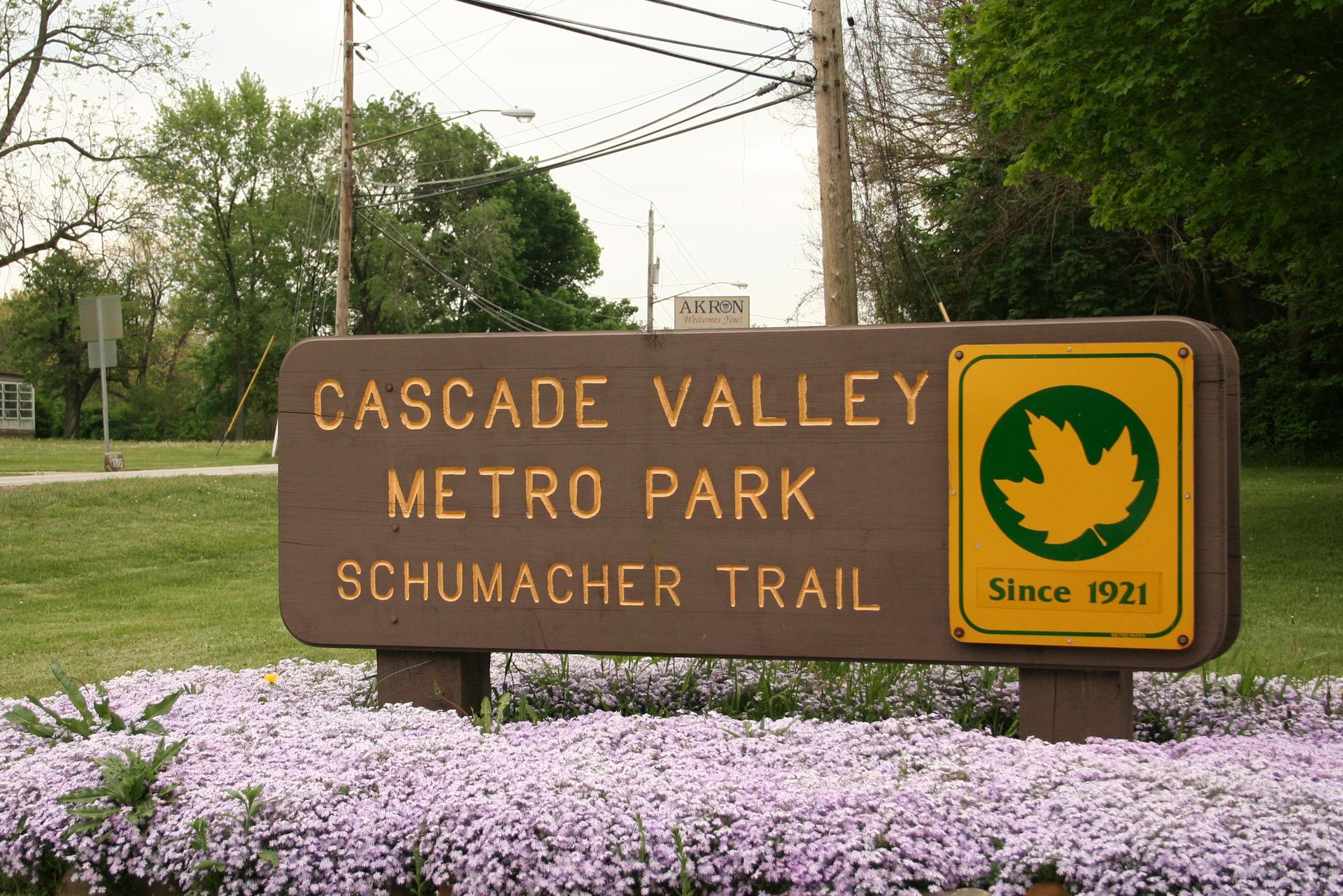 A wooden park sign stands among purple flowers and green grass on an overcast day.