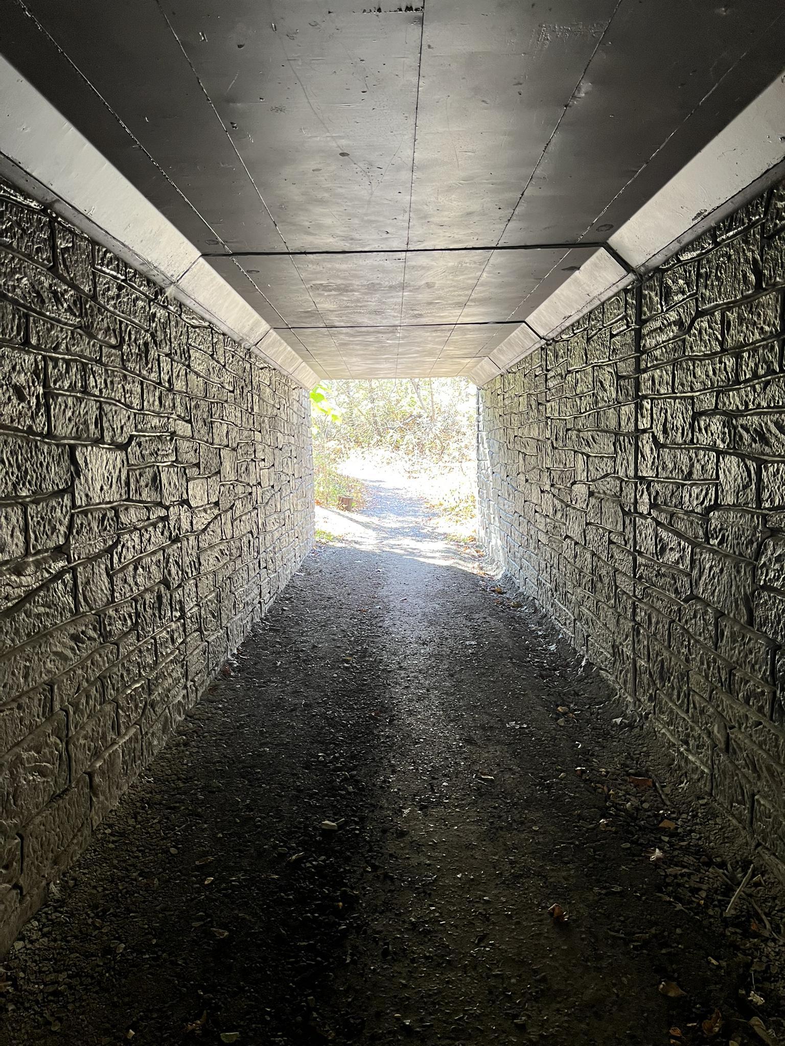 Dark stone tunnel with a dirt path leading to bright light at the end.