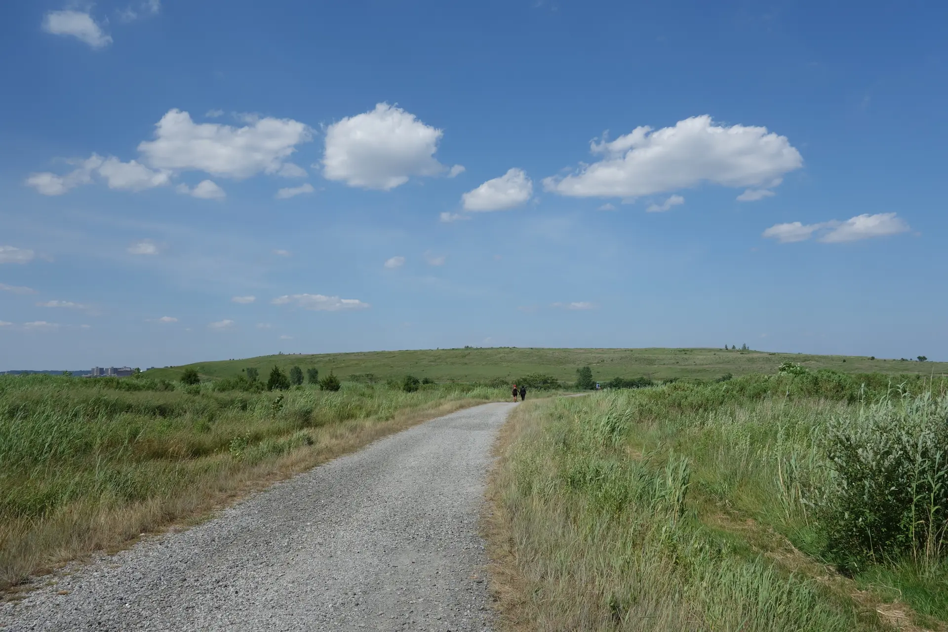 Two people walk on a gravel path through a sunny green field.