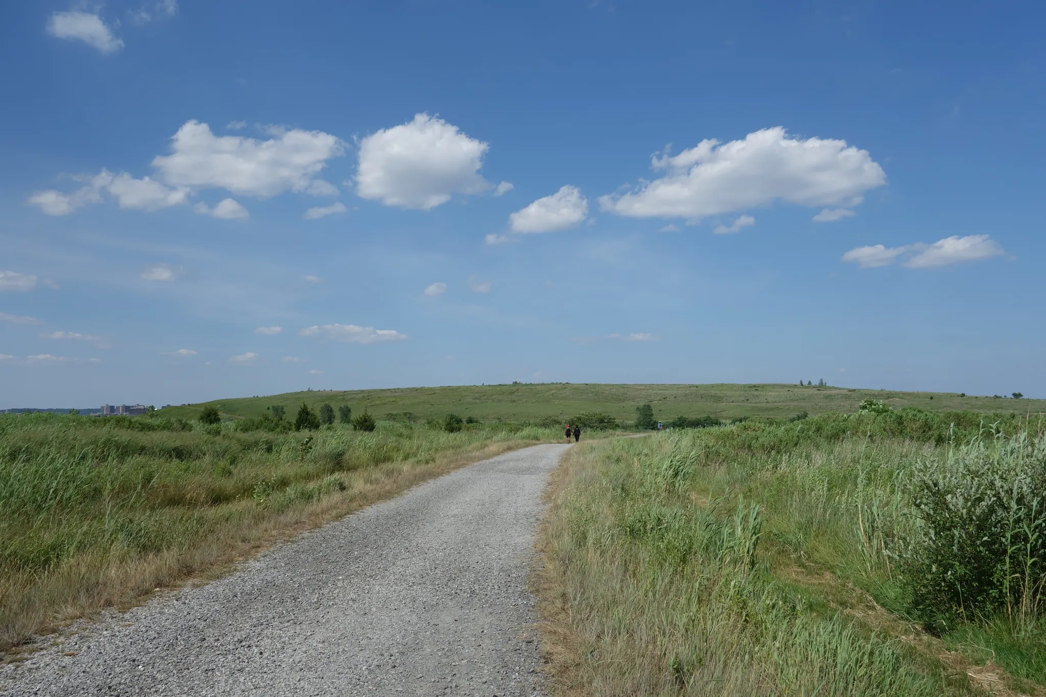 Two people walk on a gravel path through a sunny green field. - Great Blue Heron Loop