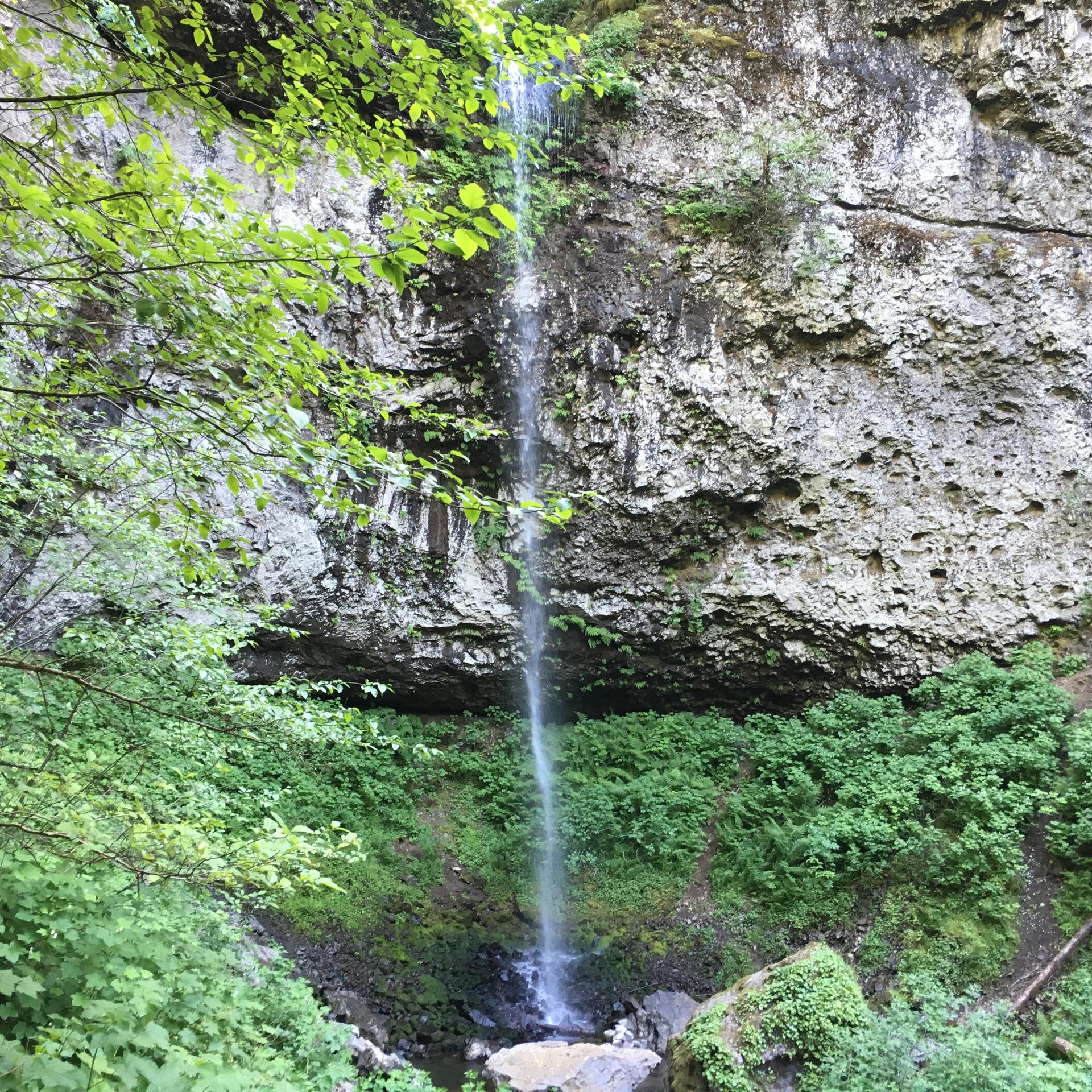 A thin waterfall plunges from a rocky cliff into a small pool below.