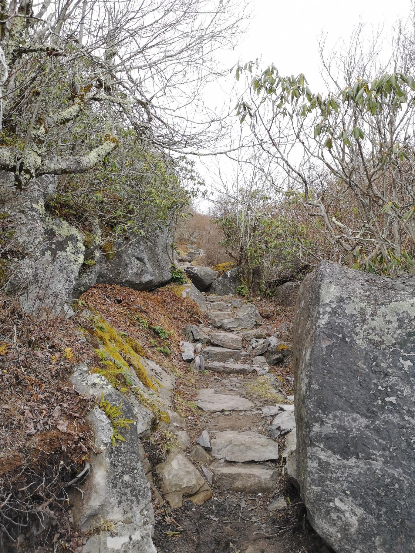 Rocky, stepped trail winding through dense, bare trees and large boulders.