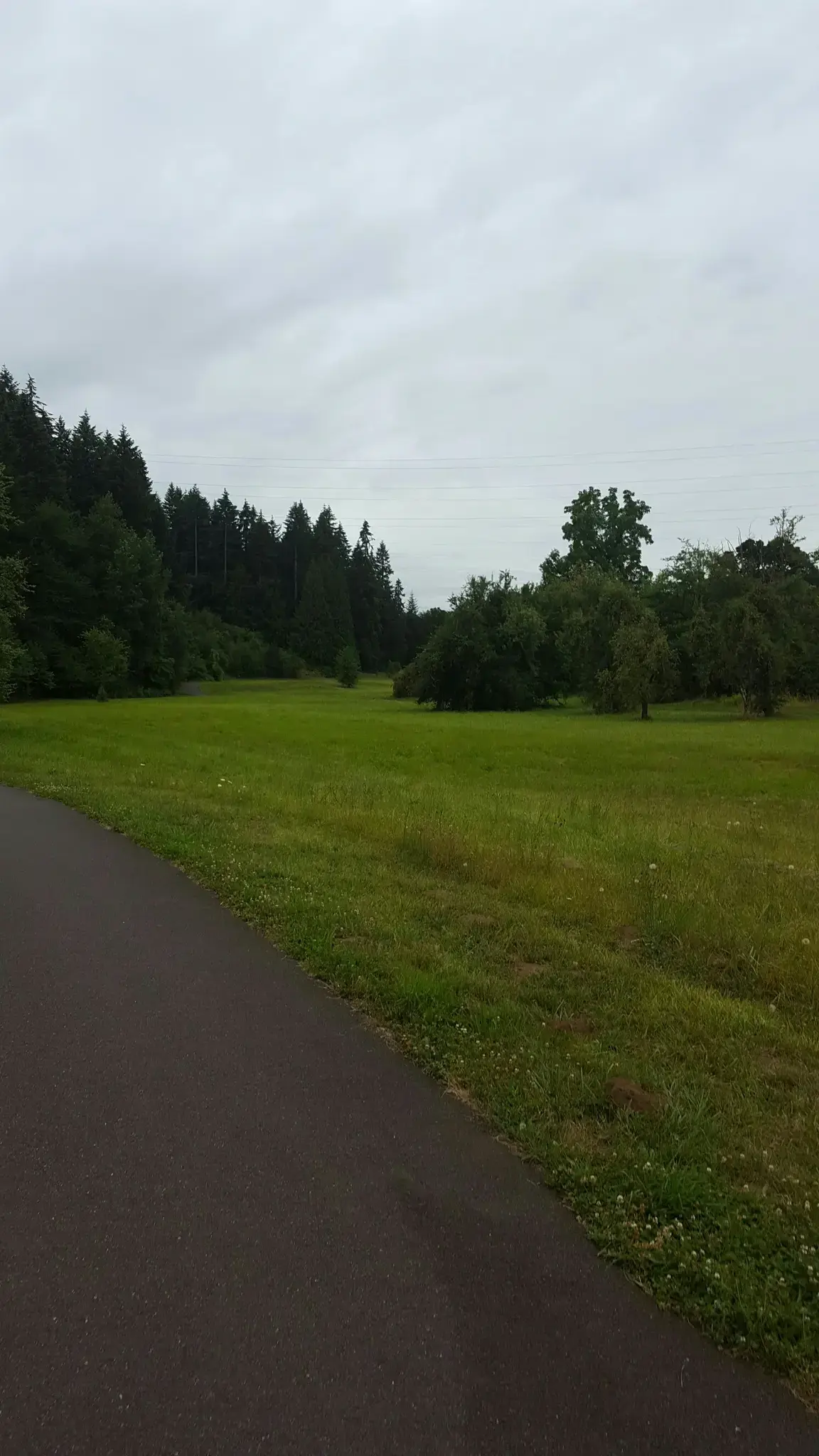 Paved path next to a wide green field under an overcast sky.