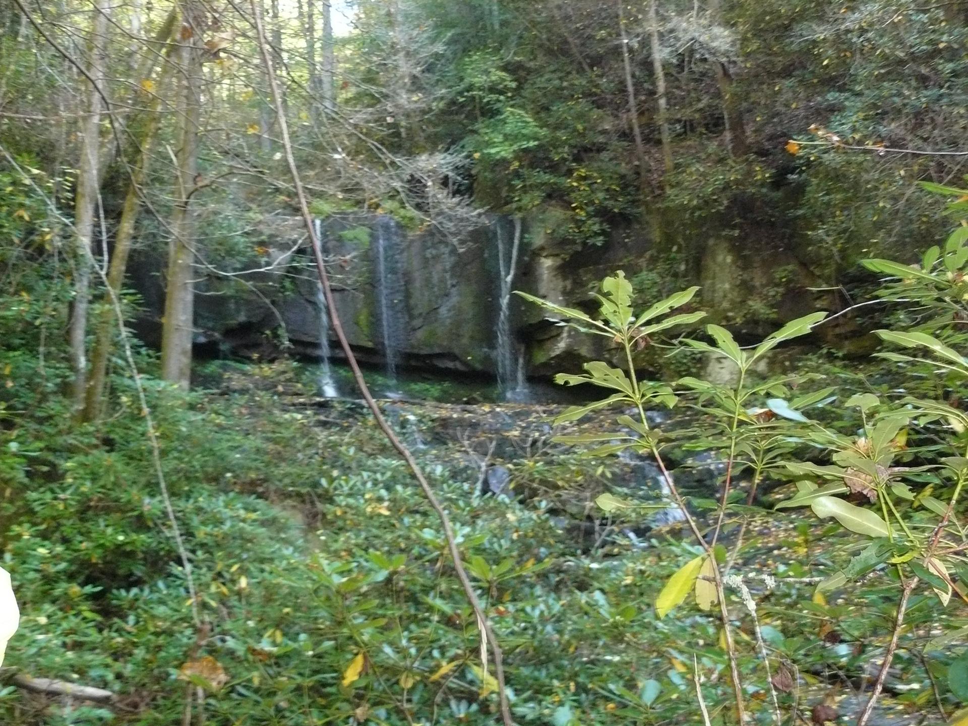 Multiple waterfalls flow over a dark rock face in a dense, green forest.