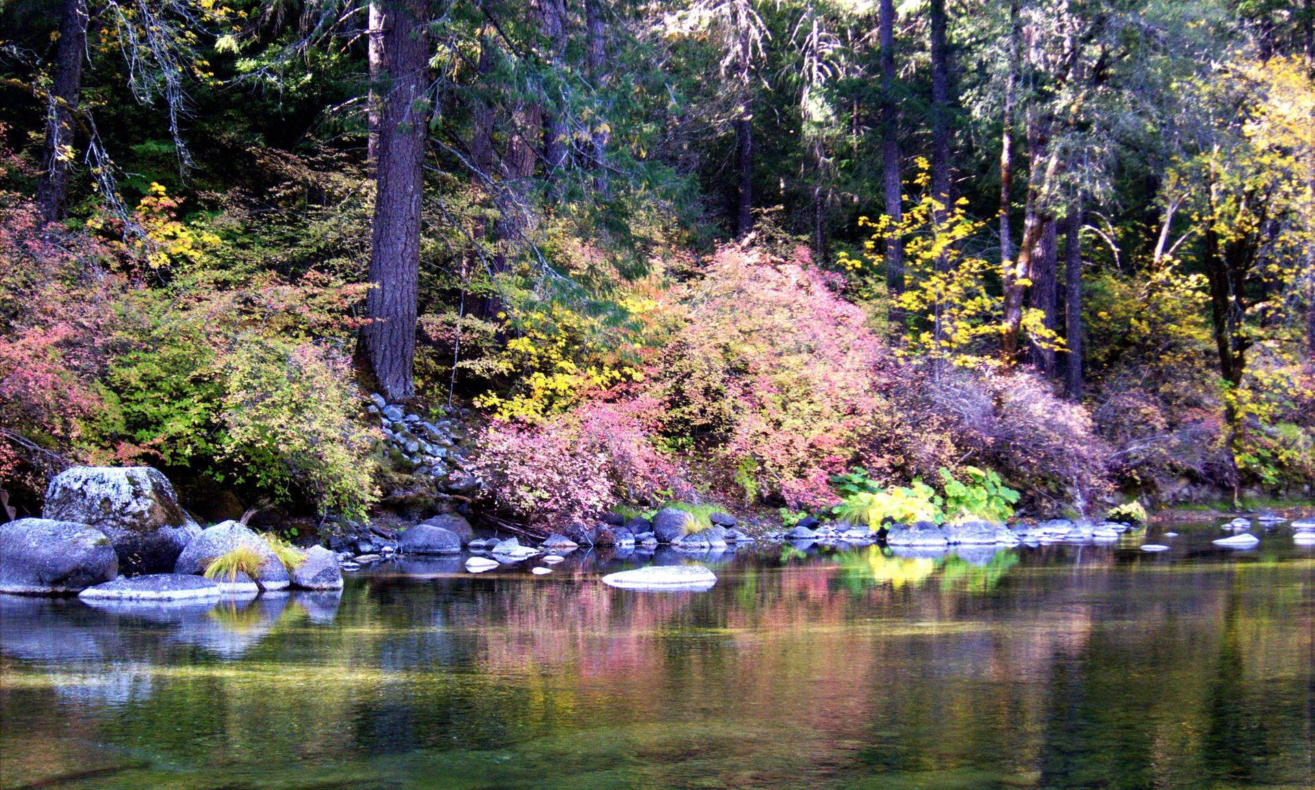 A clear river reflecting vibrant autumn trees and rocks on a sunny day.