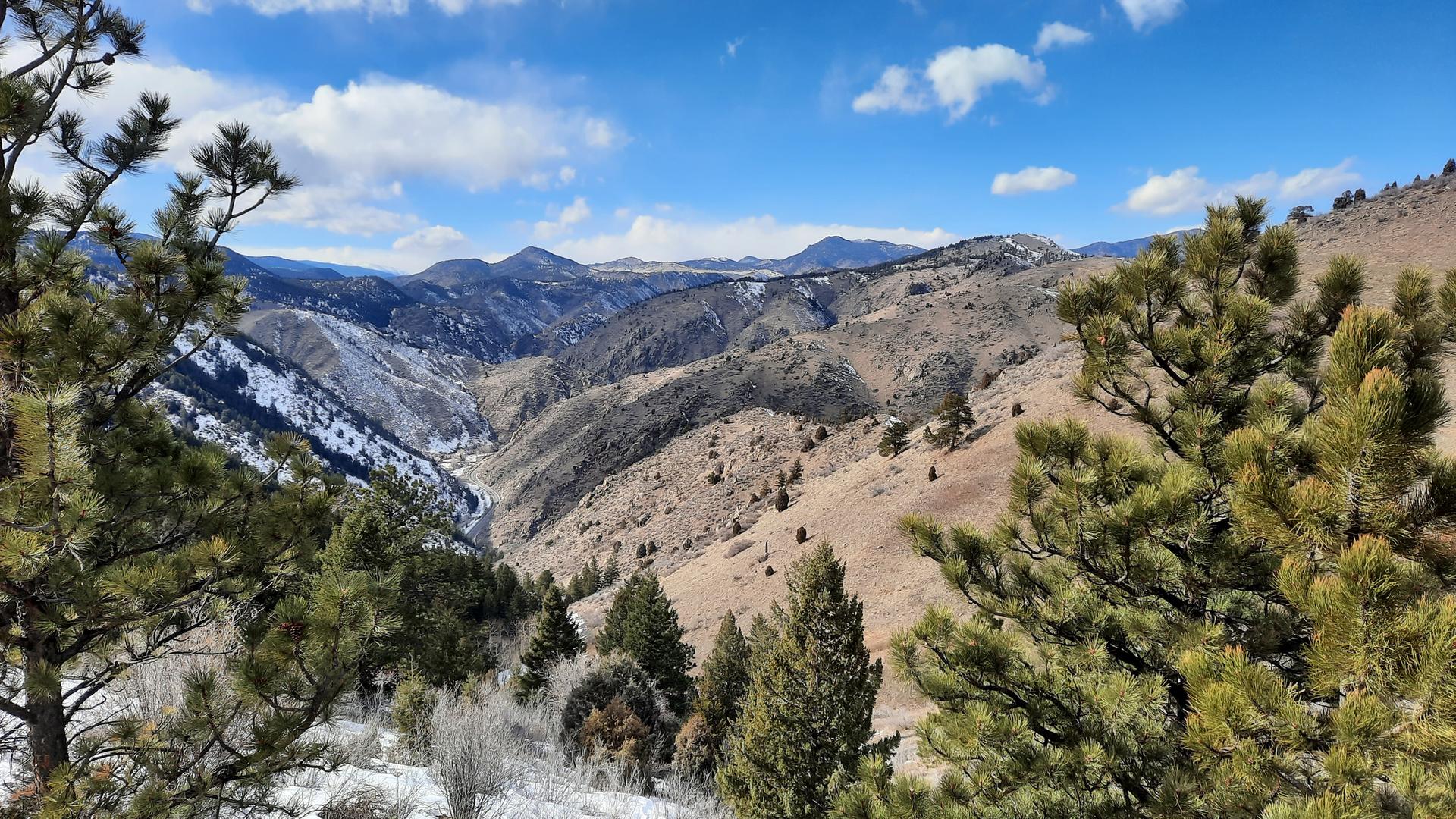 Pine trees frame a snowy, rugged mountain valley under a bright blue sky.