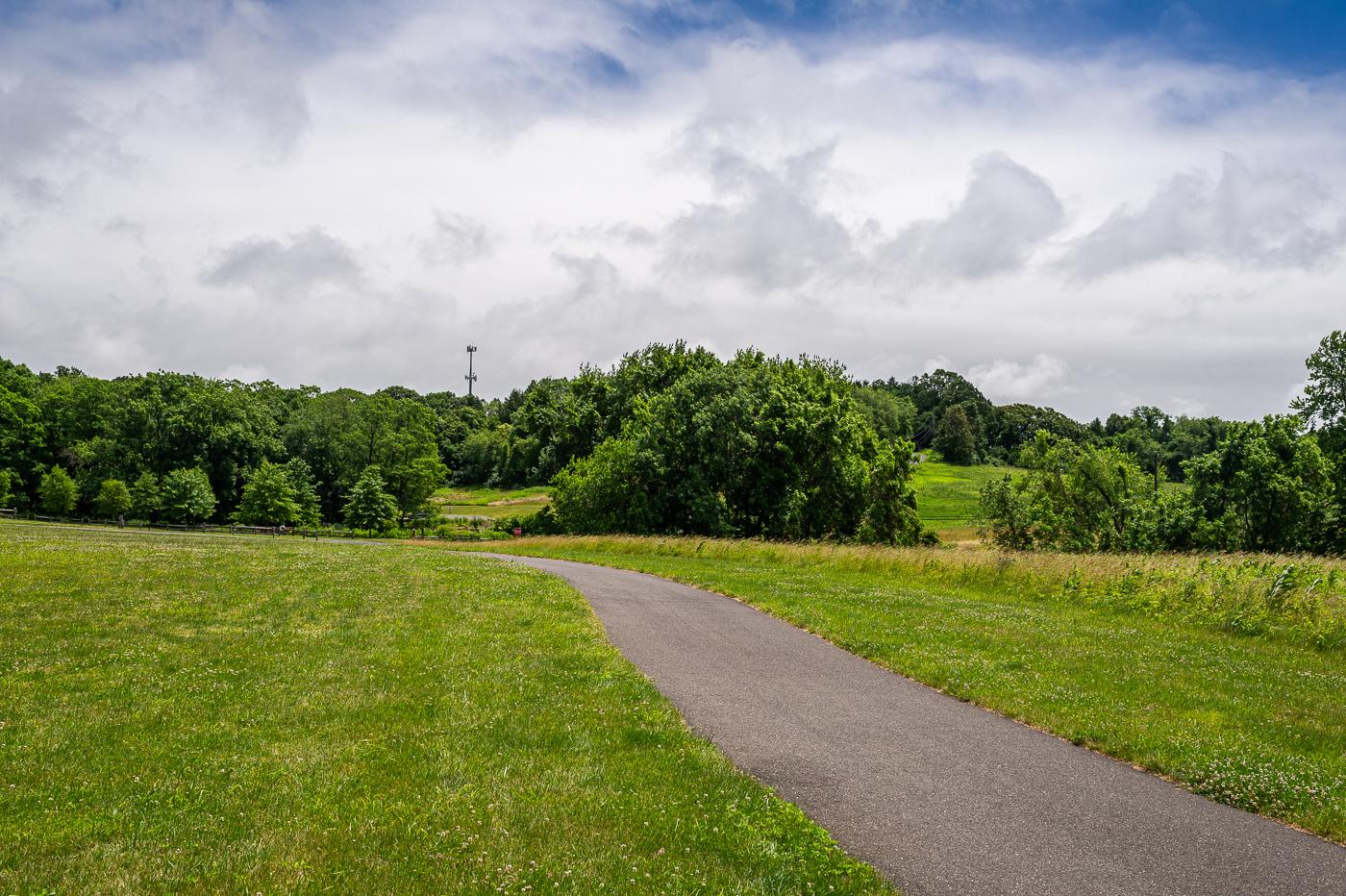 Paved path winding through a green field towards a distant forest under cloudy skies.