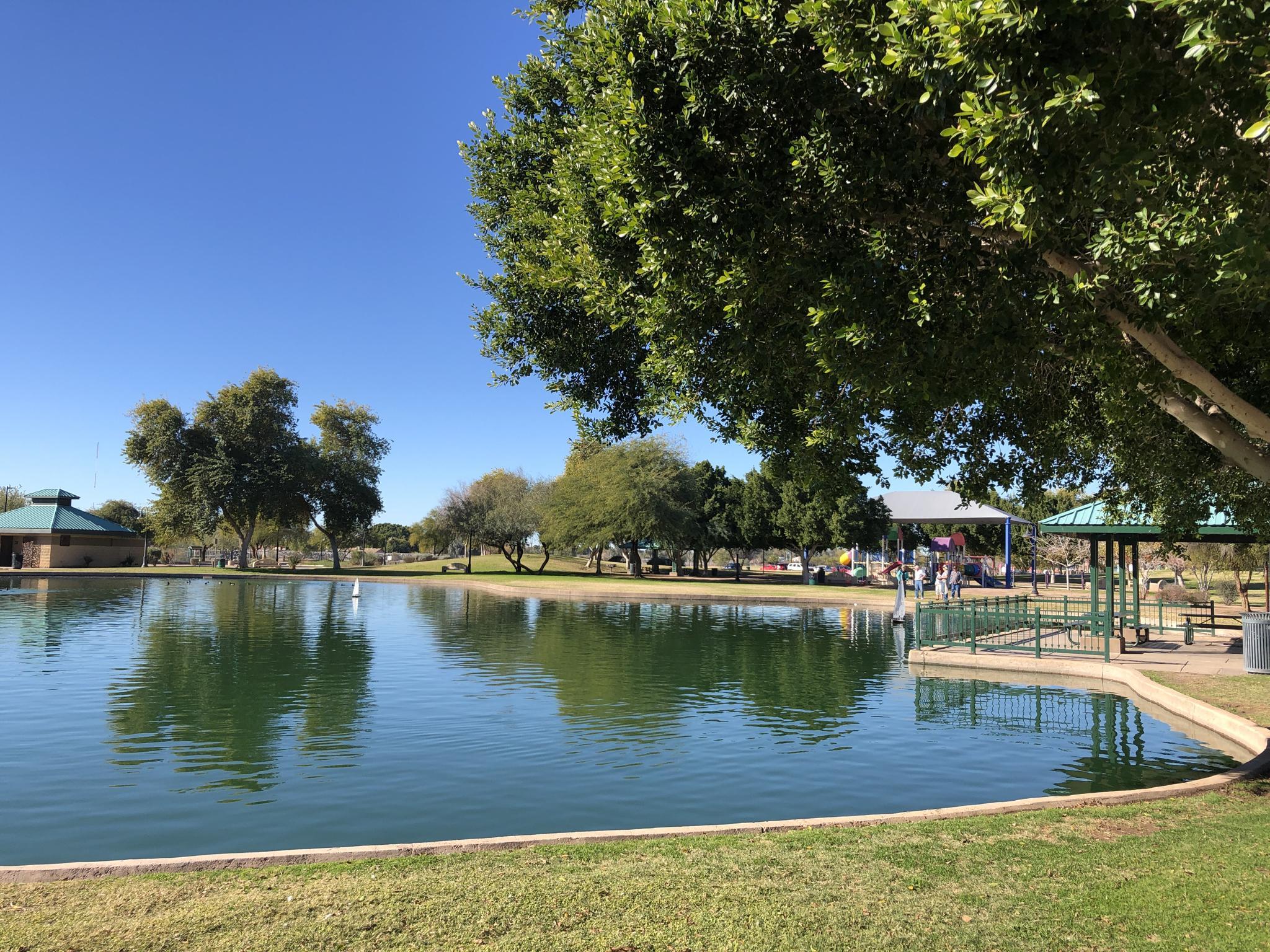 Calm pond reflecting trees and blue sky, surrounded by green grass.