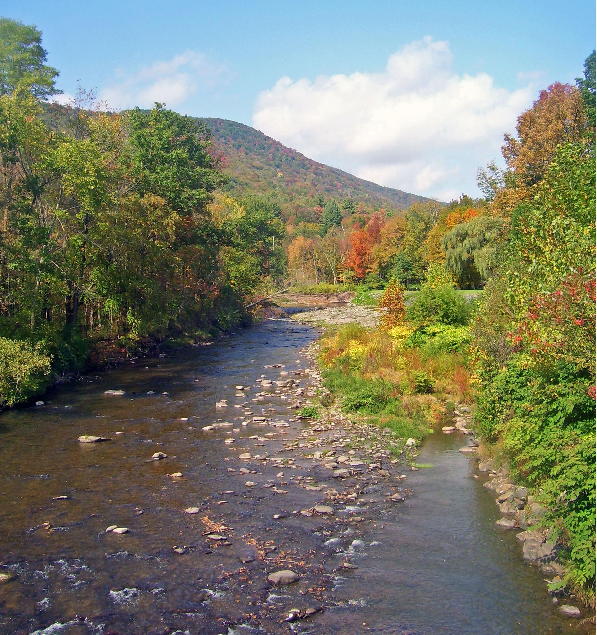 A rocky river flows through a vibrant autumn forest with a mountain backdrop.