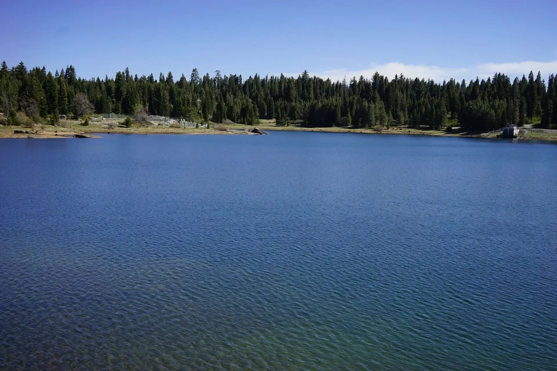 Clear blue lake with a dense evergreen forest under a bright sunny sky.