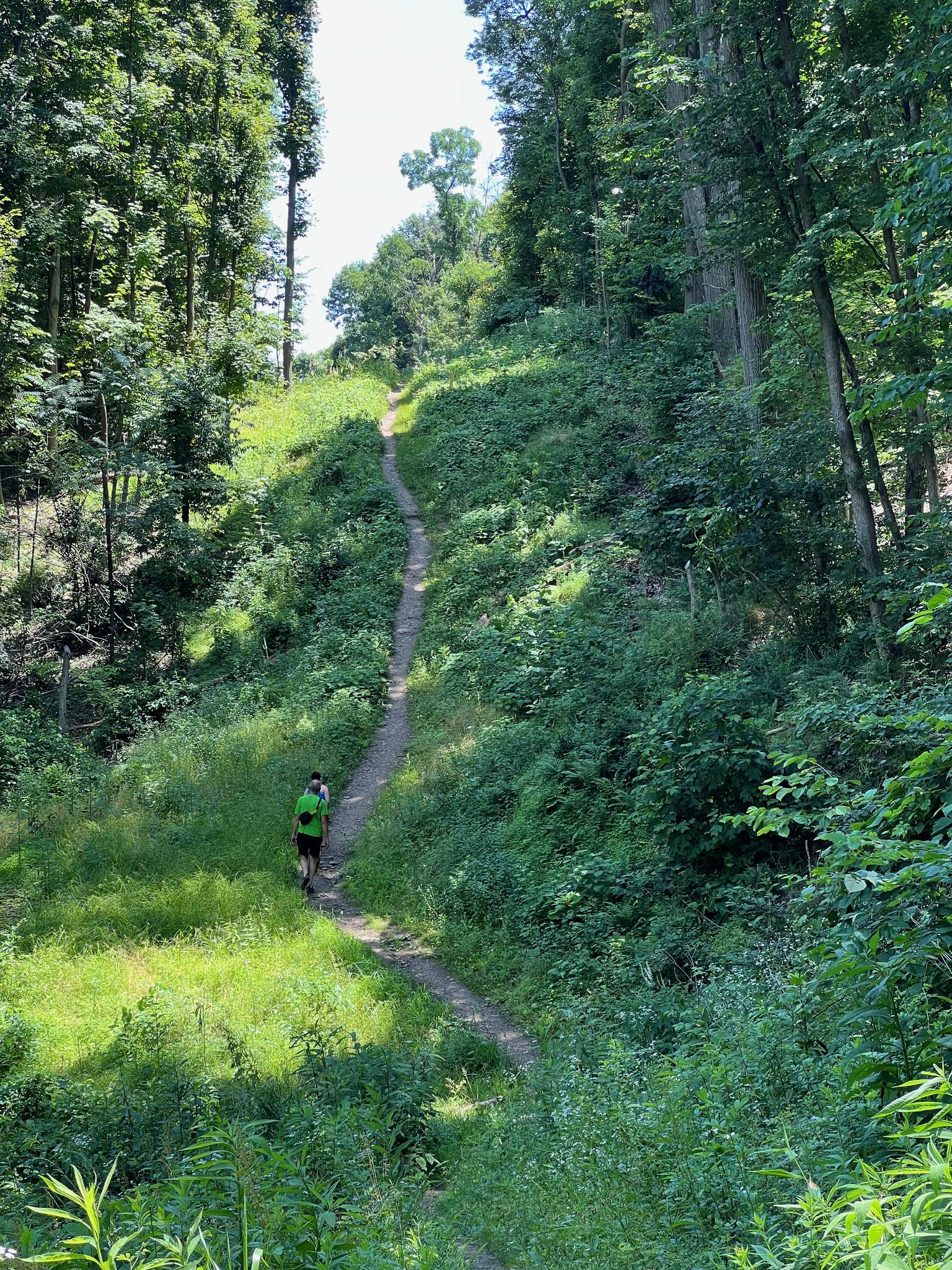 Two people hike a steep, winding dirt path through a sunny green forest.