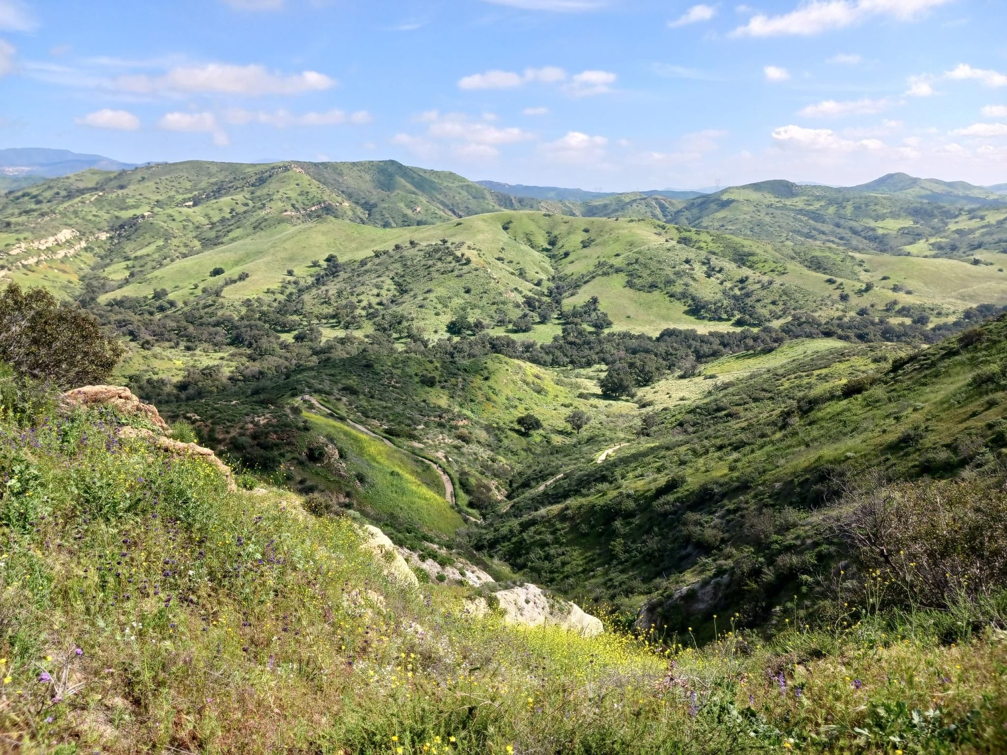 Expansive view of lush green rolling hills and a valley under a bright sky. - Weir Canyon Trail Loop