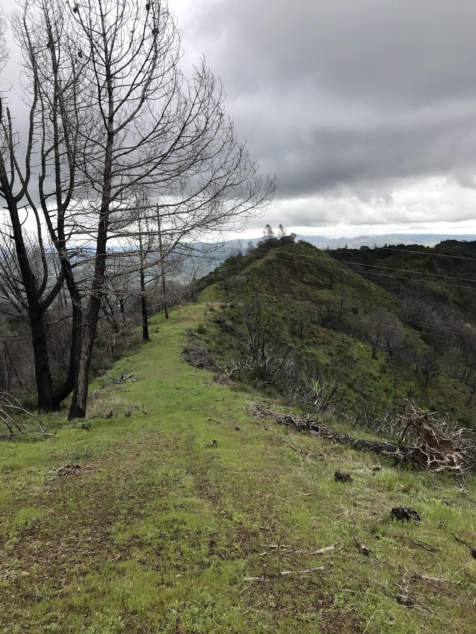 Grassy path on a ridge with burnt trees under a cloudy sky.