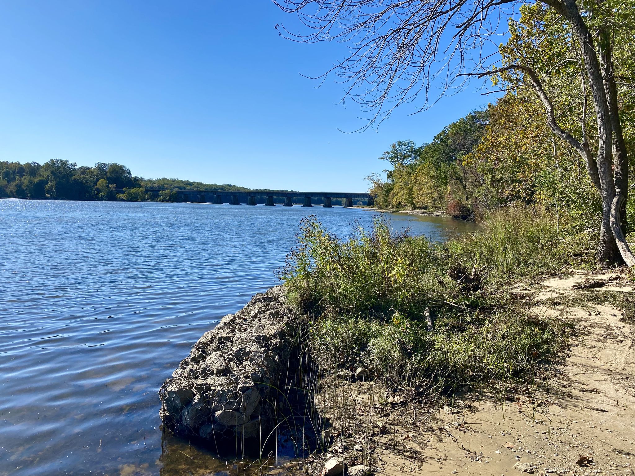 Sunny river scene with a sandy bank and distant bridge. - Bushey Point and Powell's Creek Trail Loop