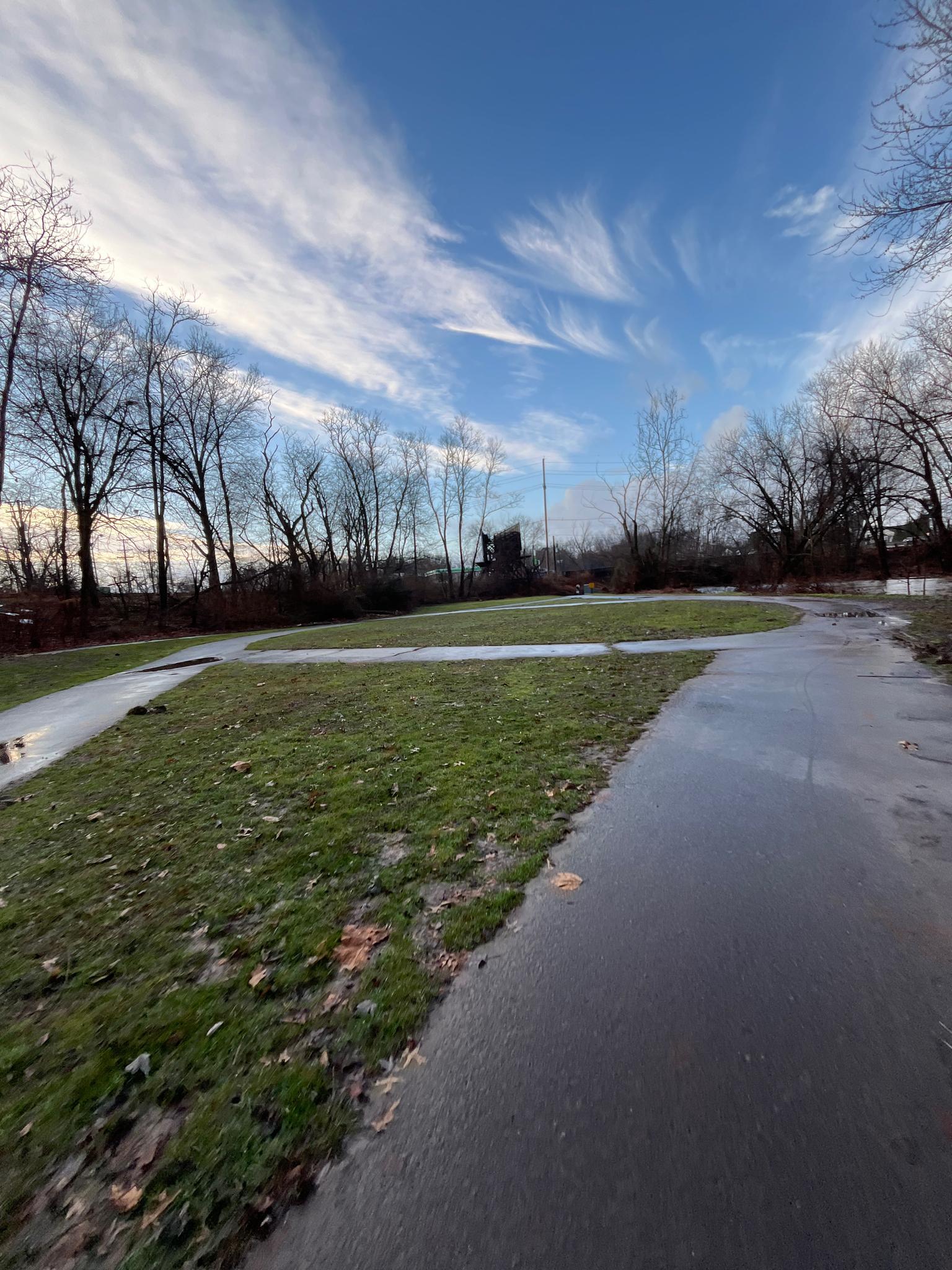 Wet paved paths winding through a grassy area with bare trees under a cloudy sky.