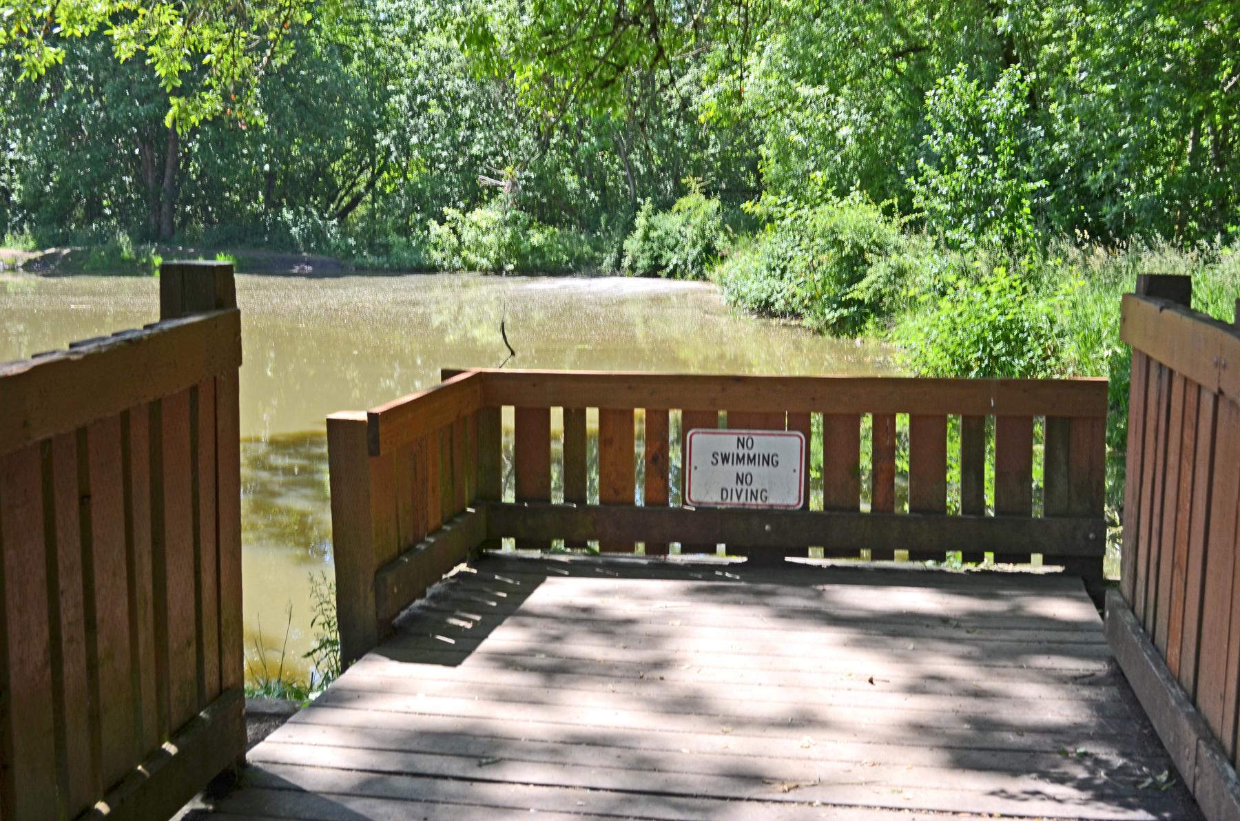 A wooden viewing platform overlooks murky water surrounded by lush green trees.