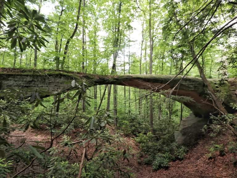 Hazard Cave und Natural Bridge Trail Schleife — Pickett CCC Memorial ...