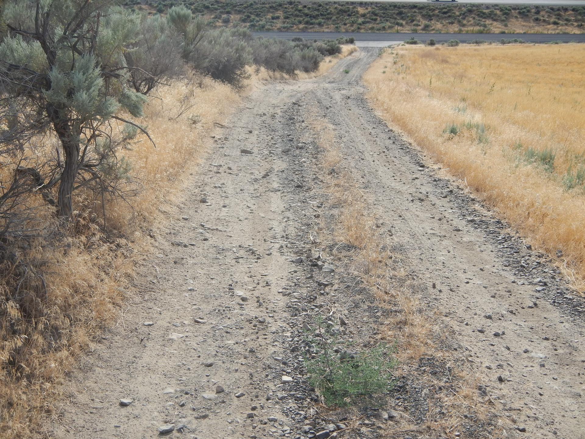 A dusty dirt road winds through dry grass and sagebrush under bright daylight.