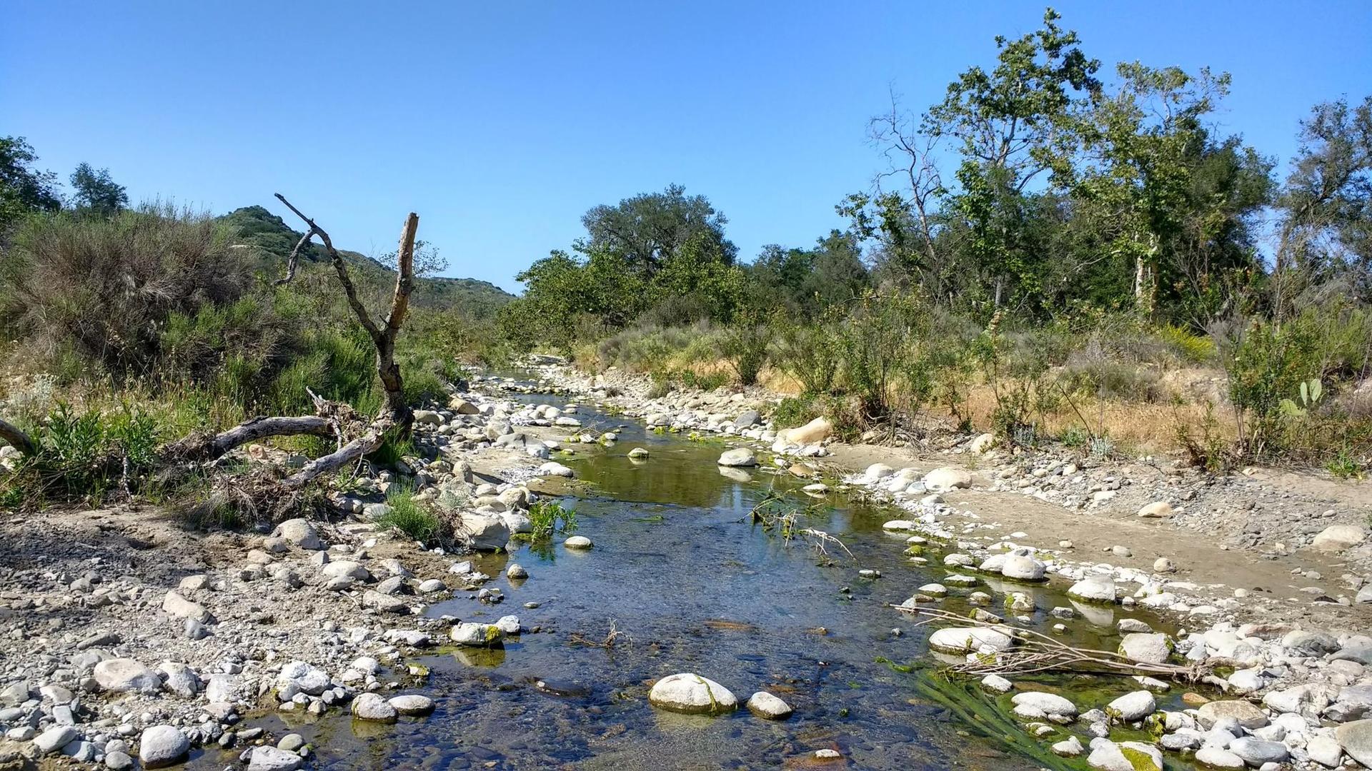 Clear stream flows over rocks in a sunny, natural landscape.