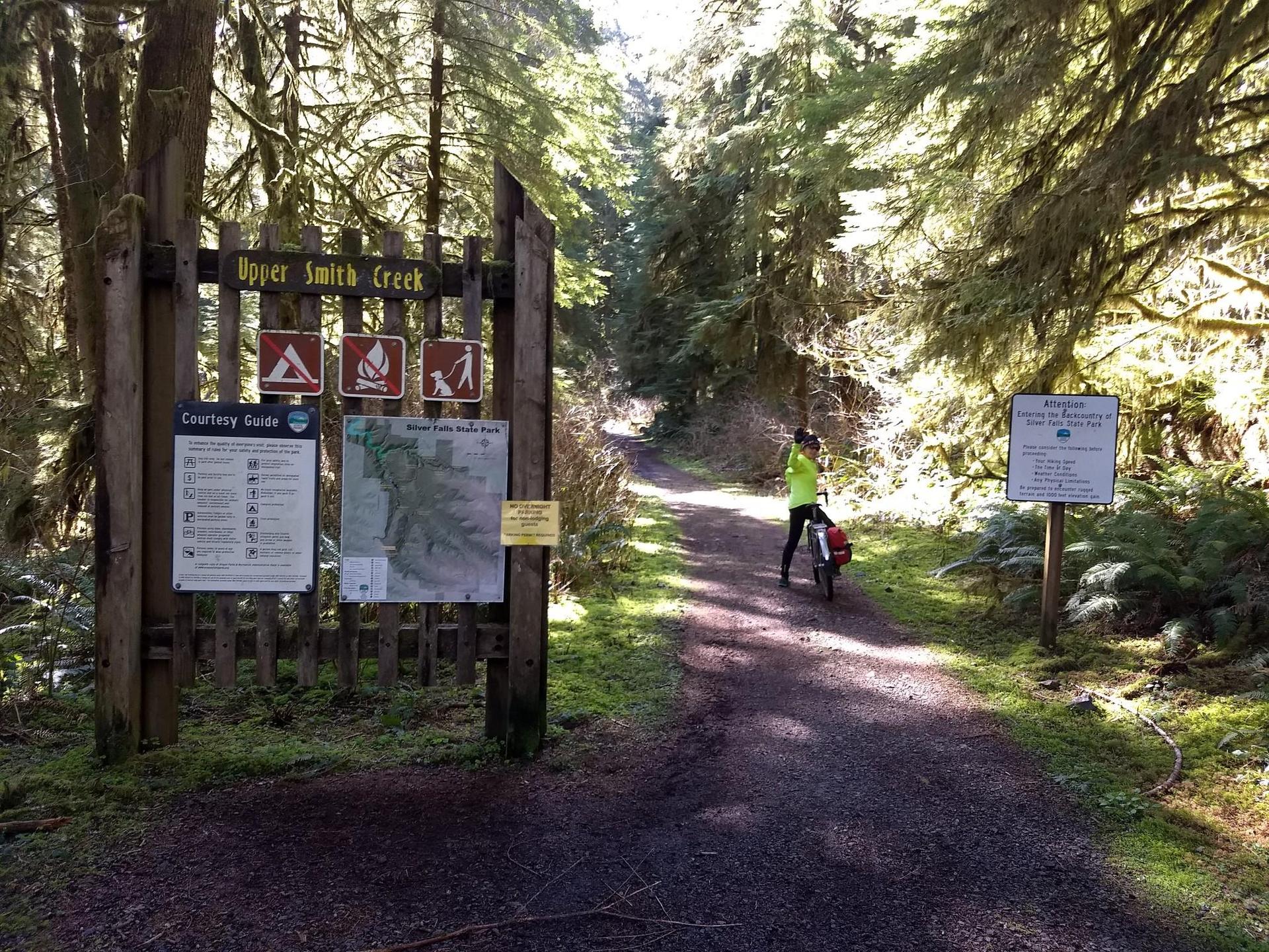 Person with bicycle on a sunny forest path next to an information board.