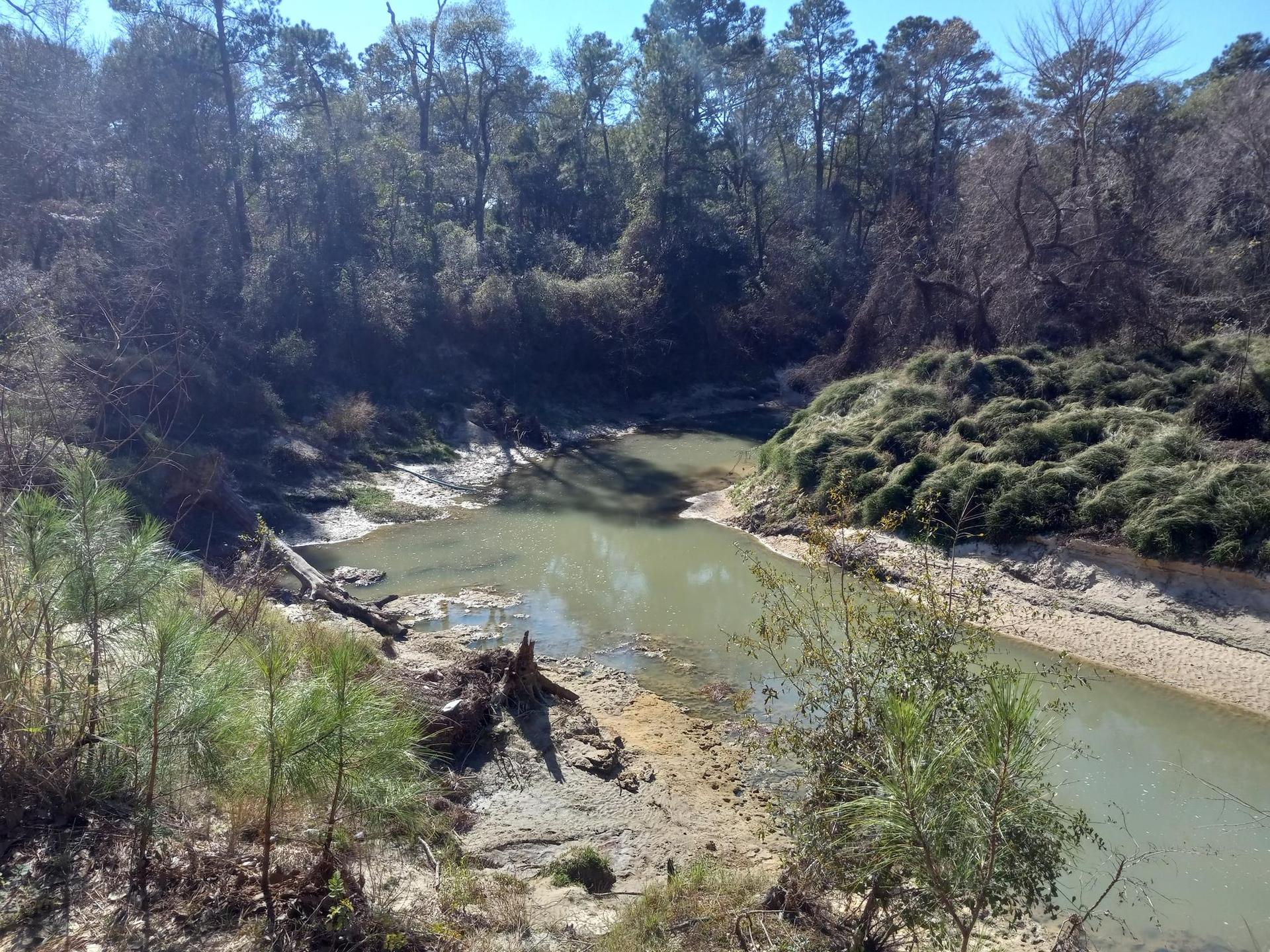 A winding muddy river flows through a forested valley under bright sun.