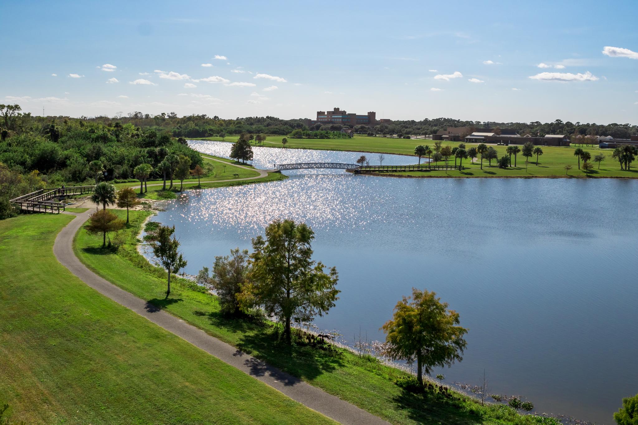 Sunny lake with a winding path, green banks, trees, and a distant bridge.