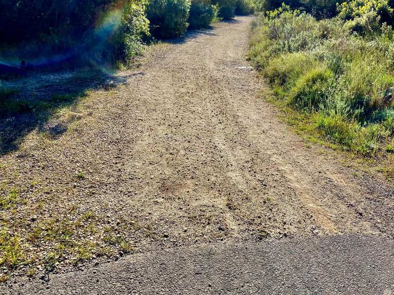 how to find bike size for me