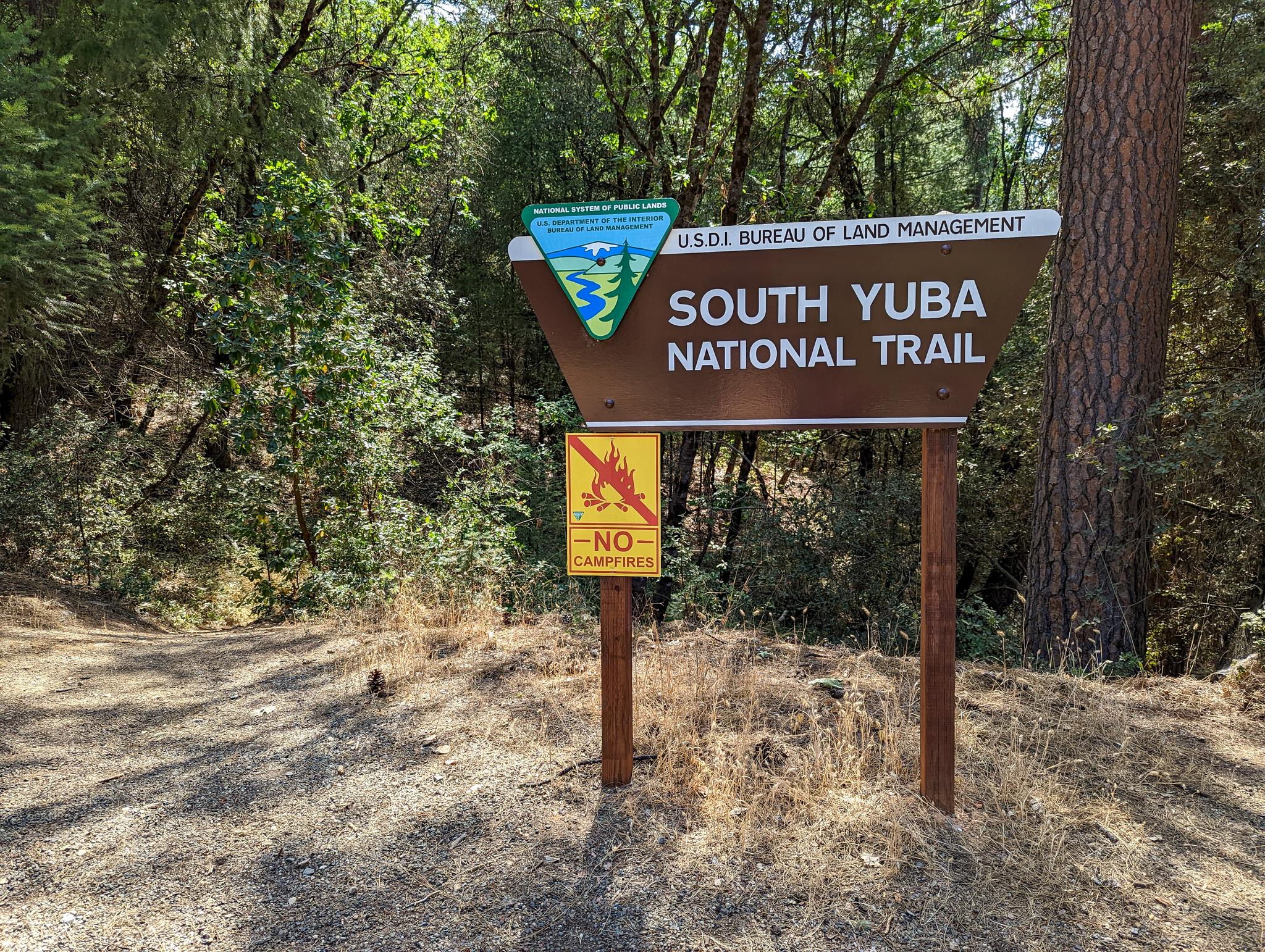 A brown trail sign and "No Campfires" sign on a sunny dirt path.