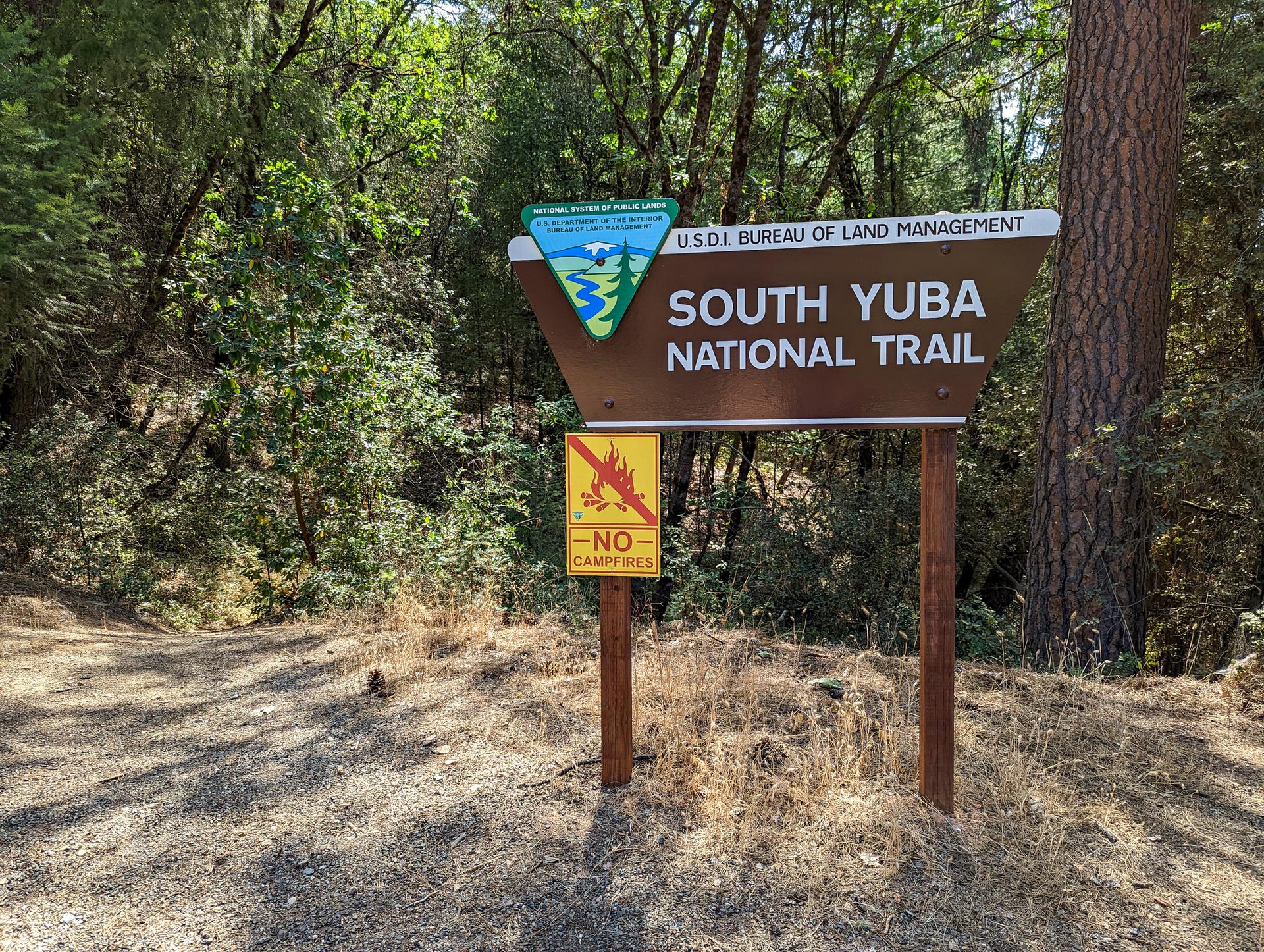 A brown trail sign and "No Campfires" sign on a sunny dirt path.