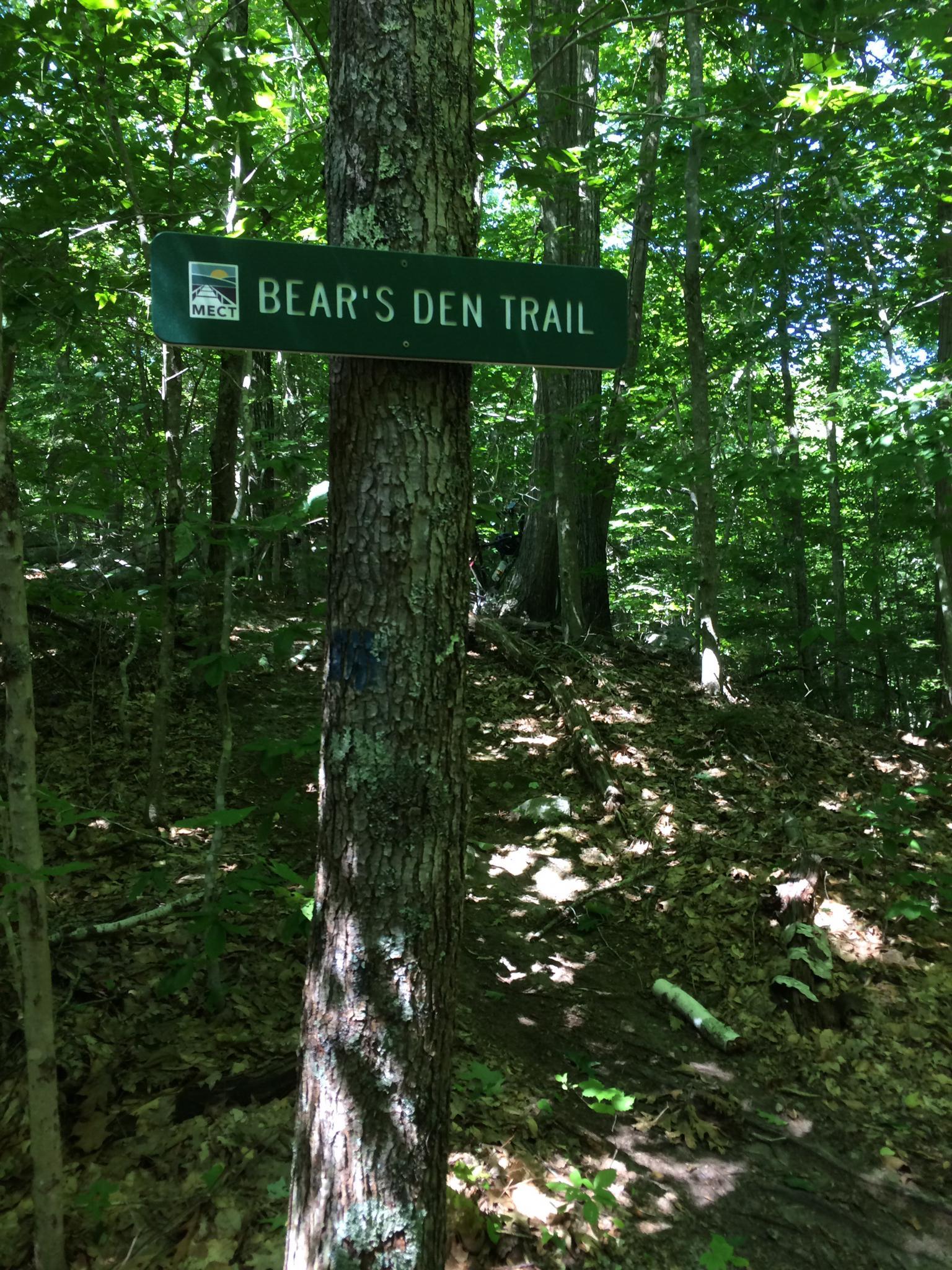 A green sign attached to a tree in a sunlit, leafy forest.