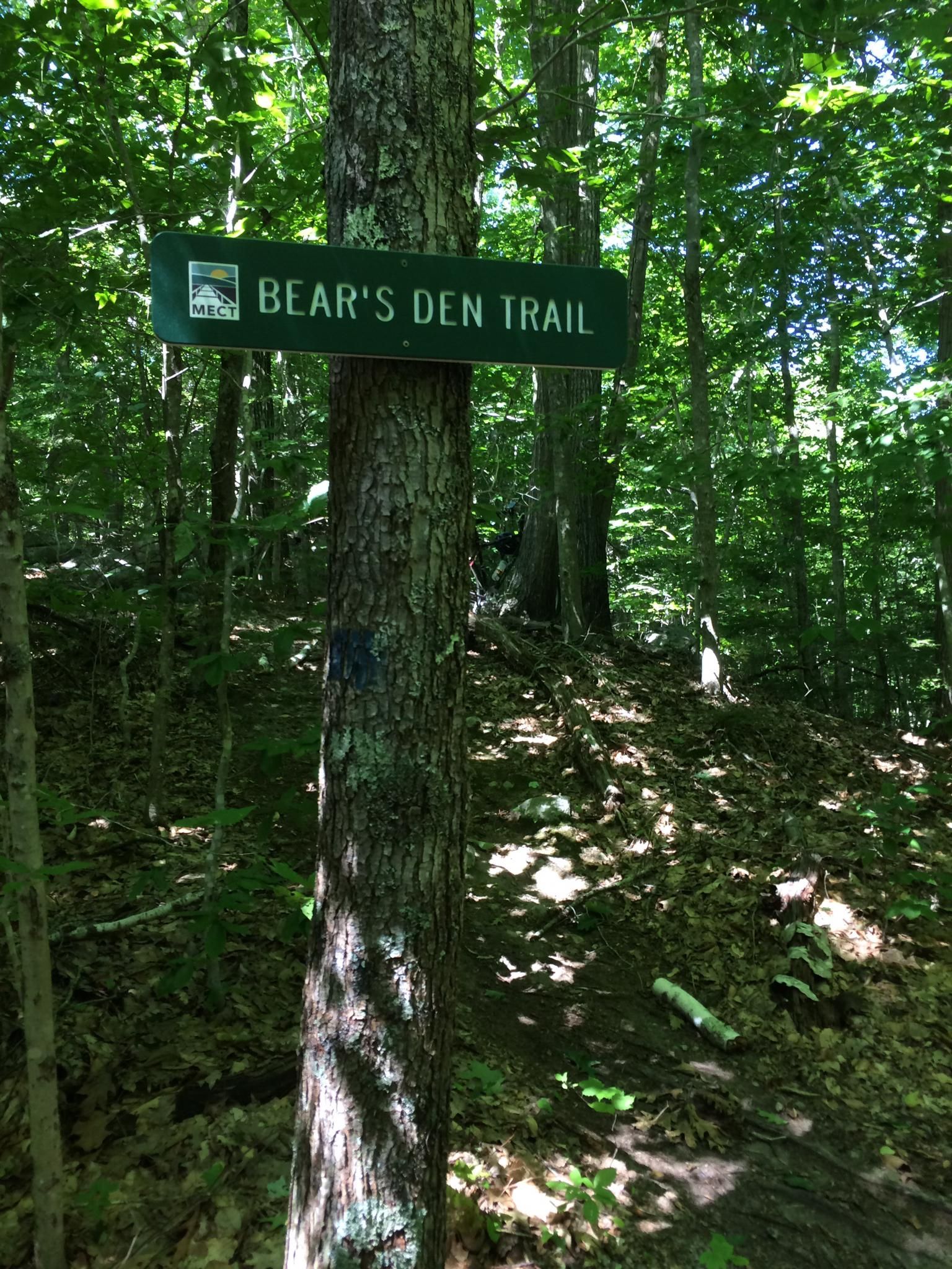 A green sign attached to a tree in a sunlit, leafy forest. - Homestead Trail loop from Essex