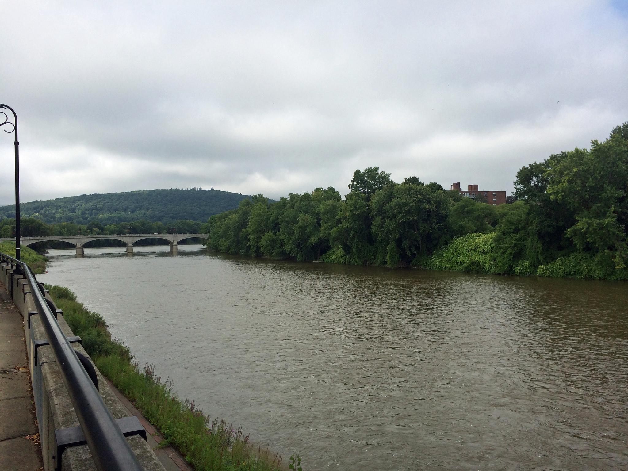 Overcast river scene with tree-lined banks, distant bridge, and cloudy sky.