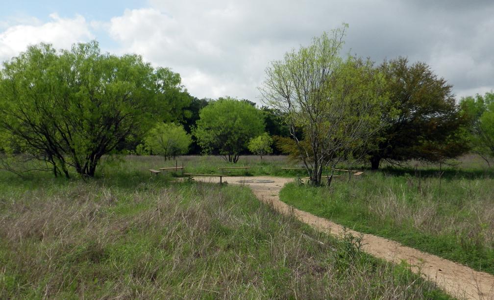 A dirt path winds through a grassy field with green trees under an overcast sky.